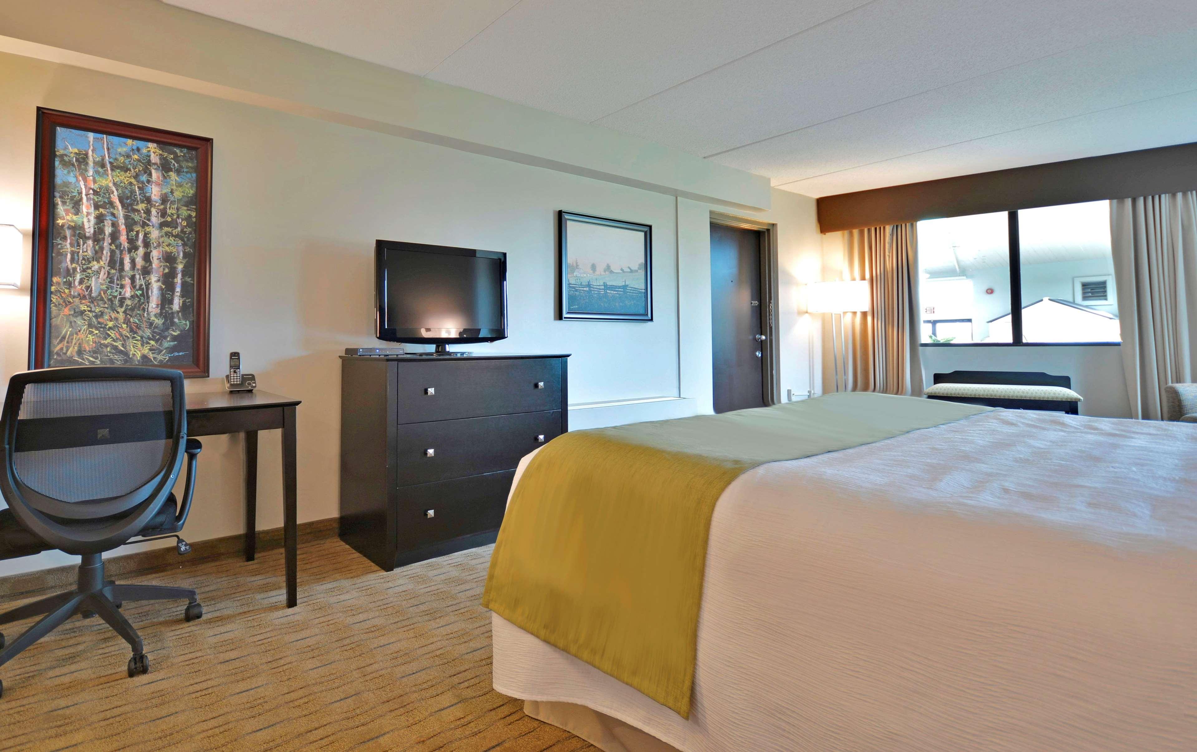 Quadruple King Bed Non Smoking