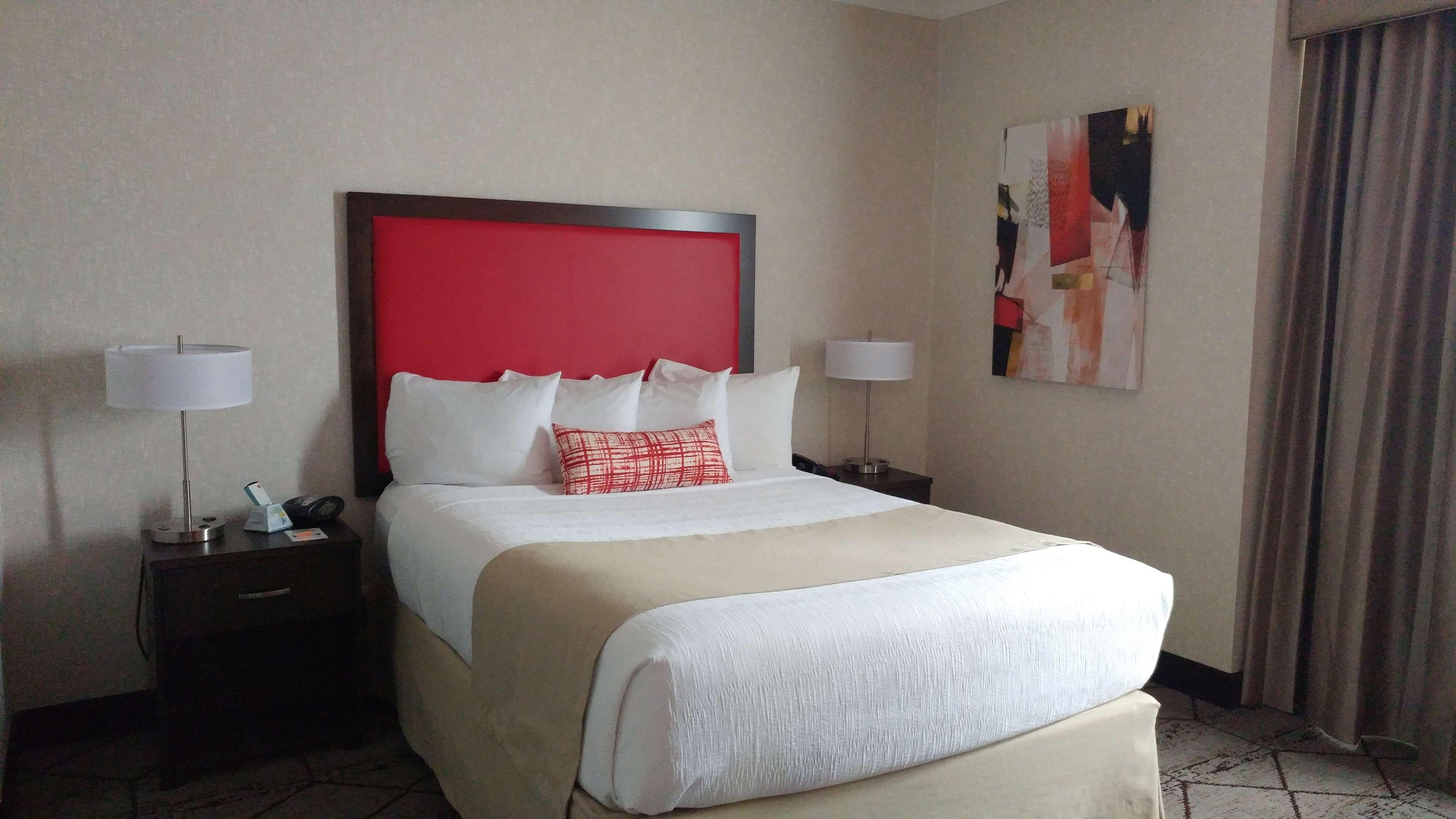 Suite Queen Bed Non Smoking