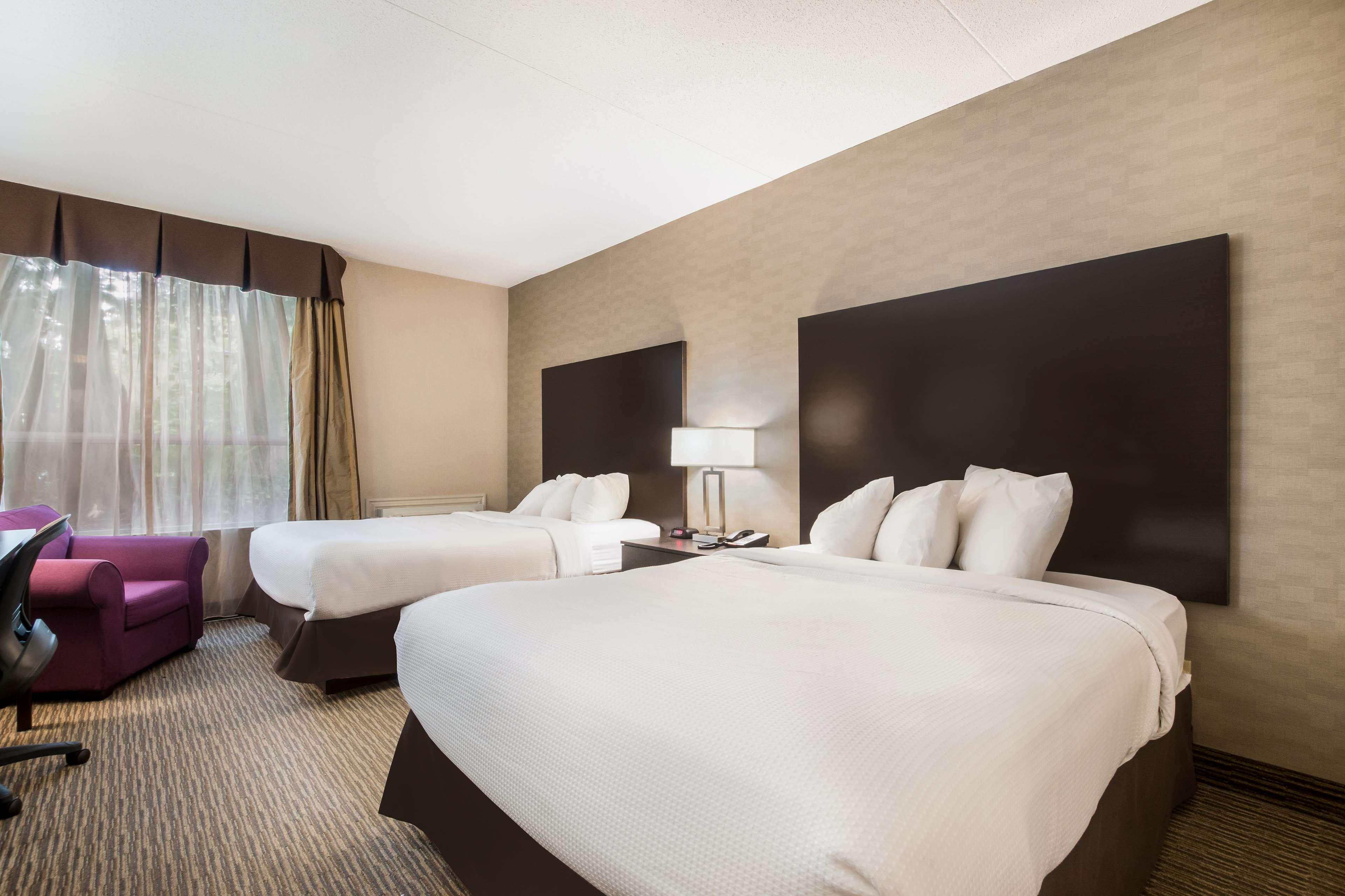 Quadruple Two Queen Beds Non Smoking