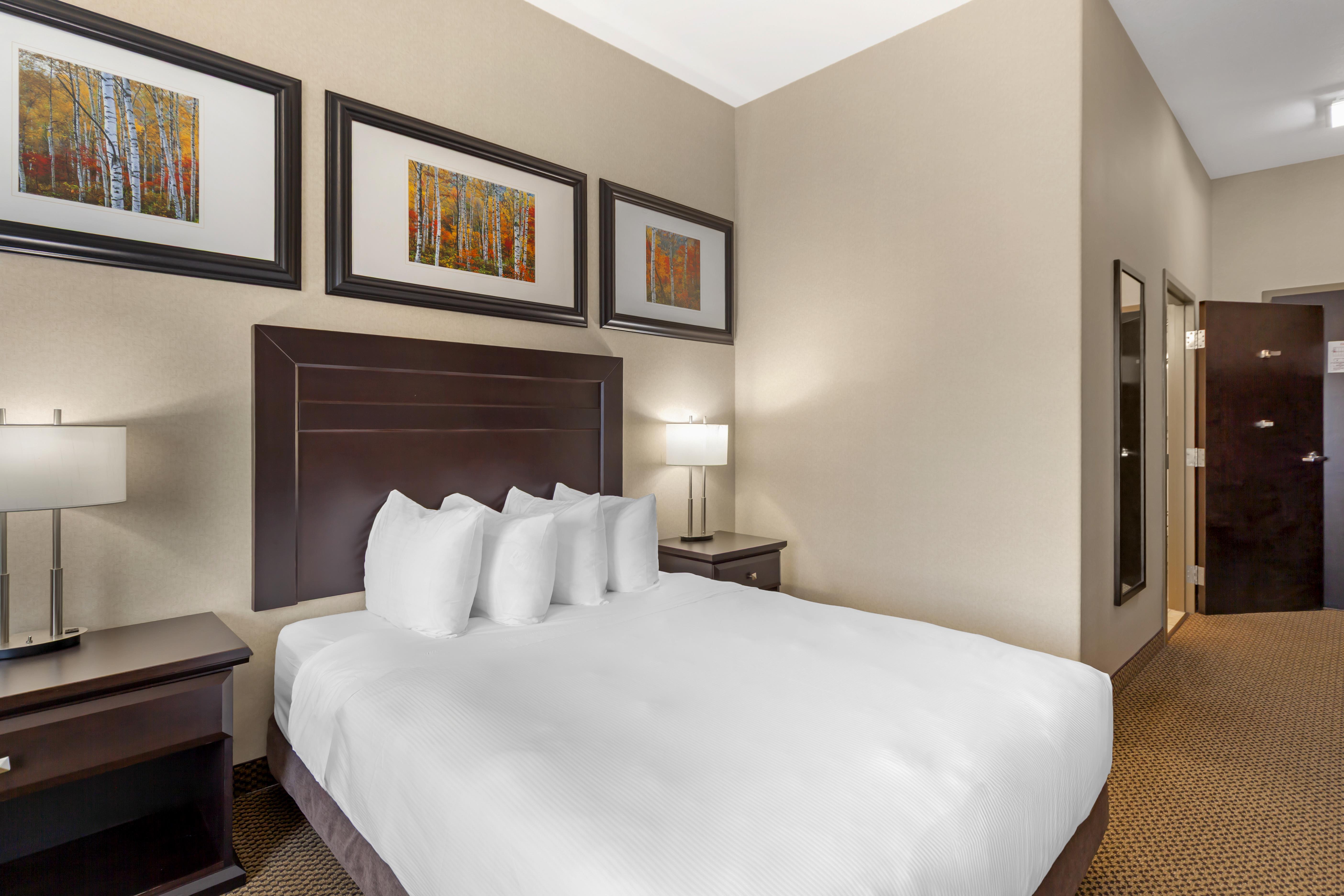 Room Accessible-queen Size Bed