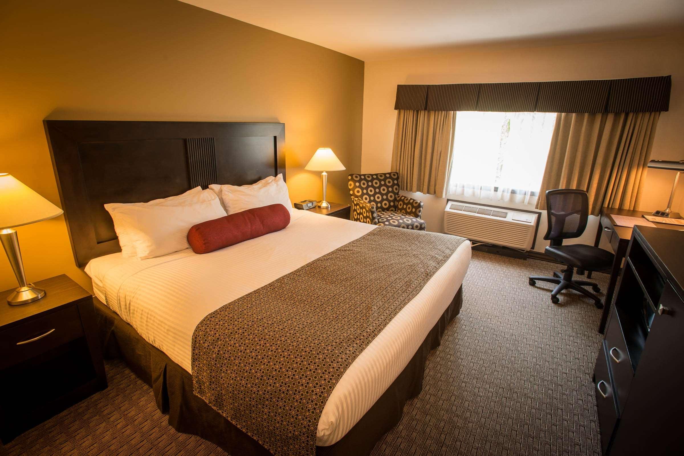 Double King Bed Non Smoking