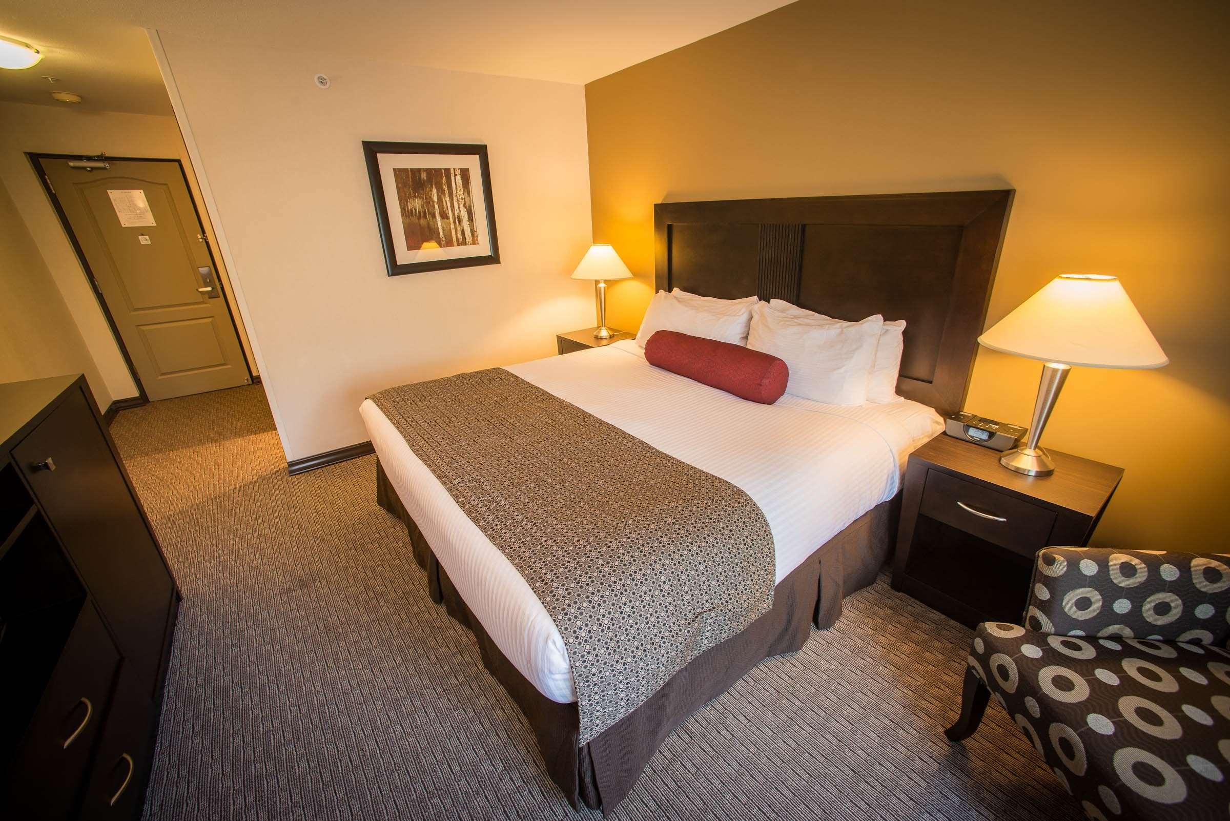 Room Accessible-queen Size Bed