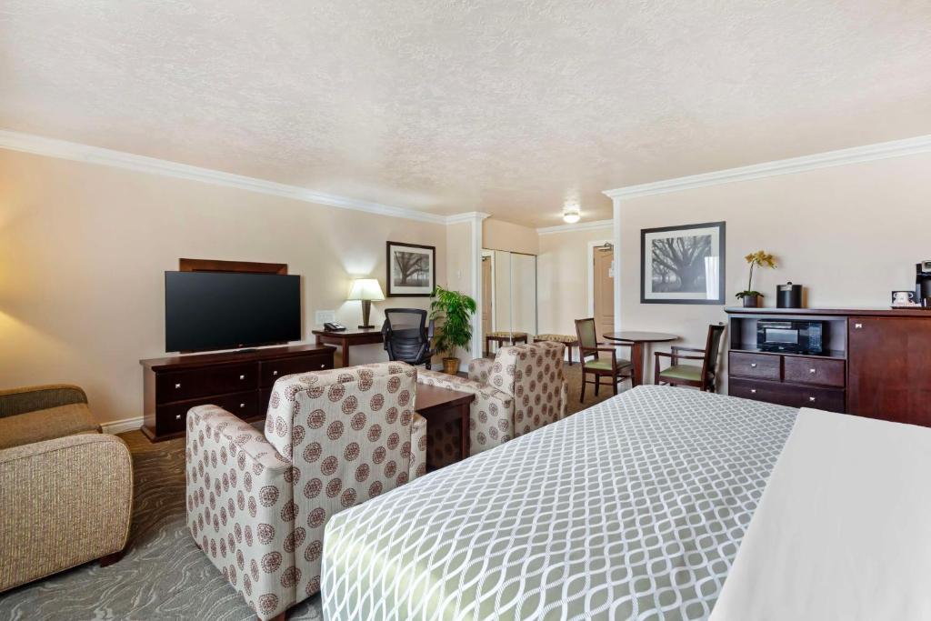 Double Queen Size Bed