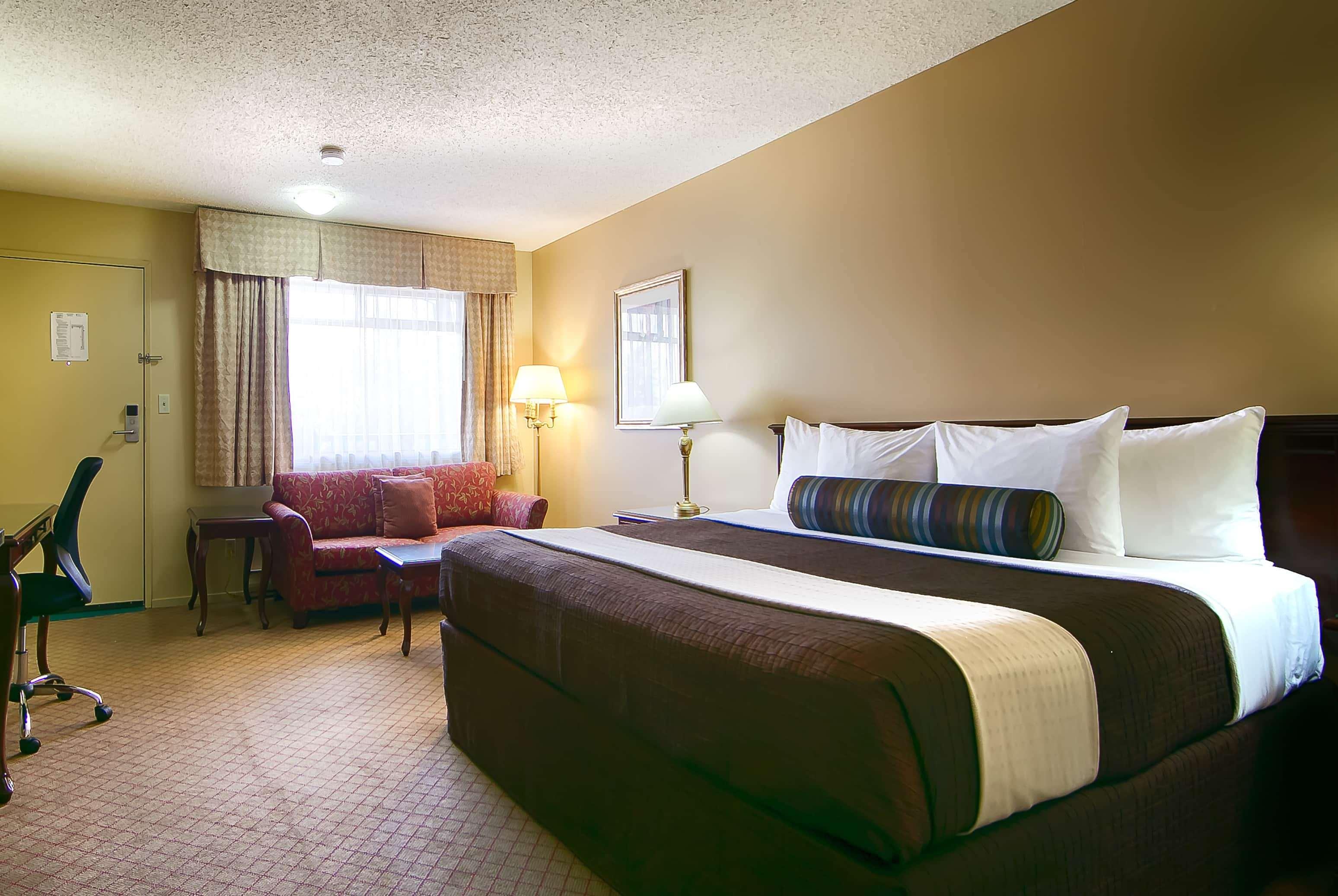 Room King Bed Non Smoking