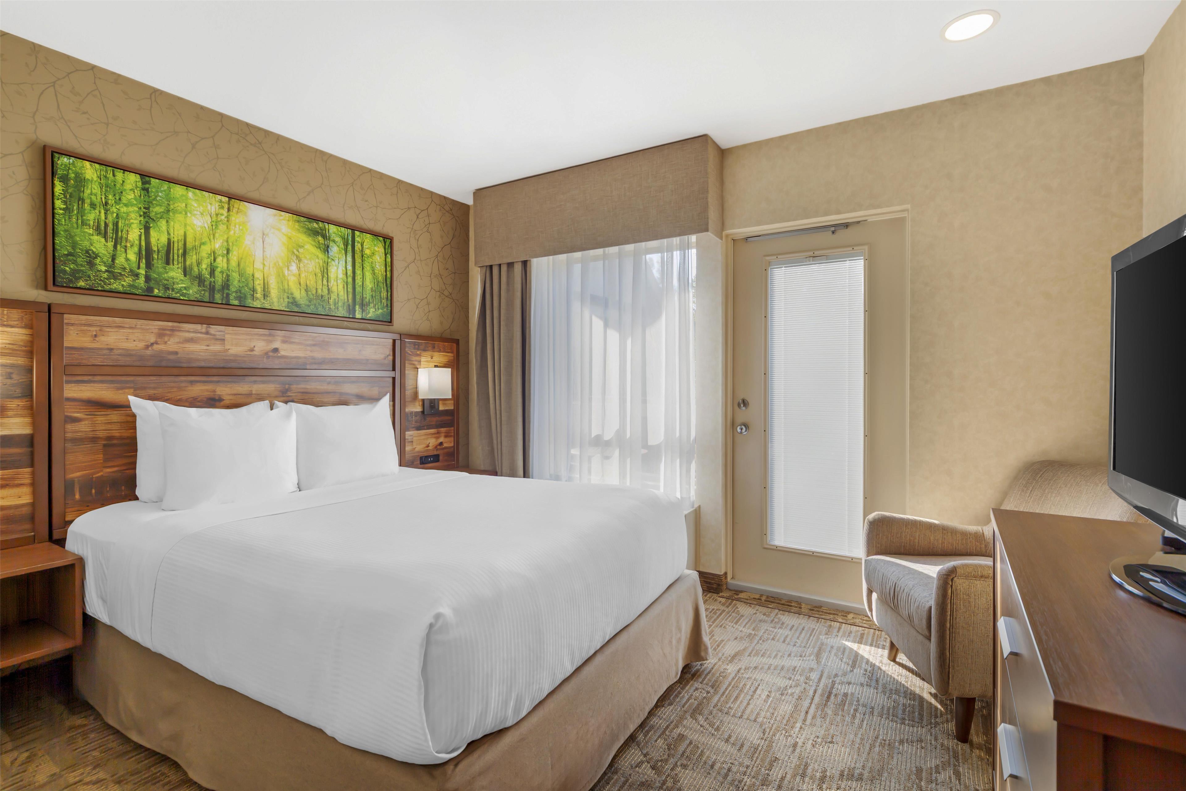 Suite Queen Size Bed