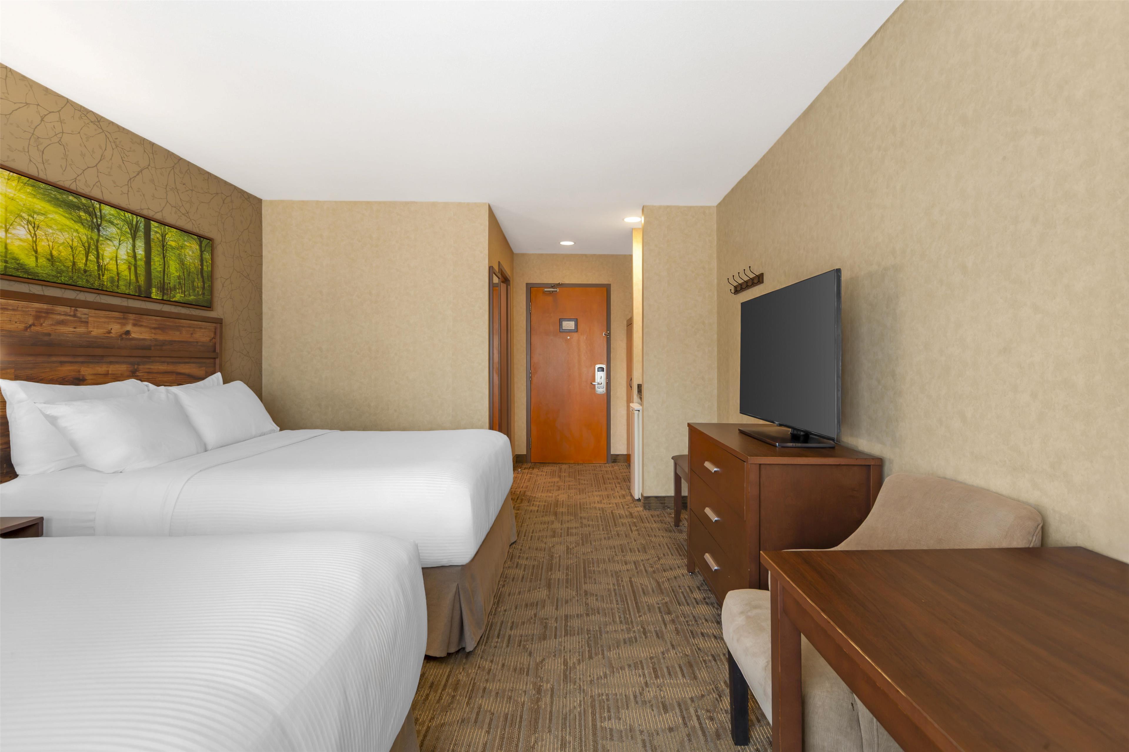 Double Two Queen Beds