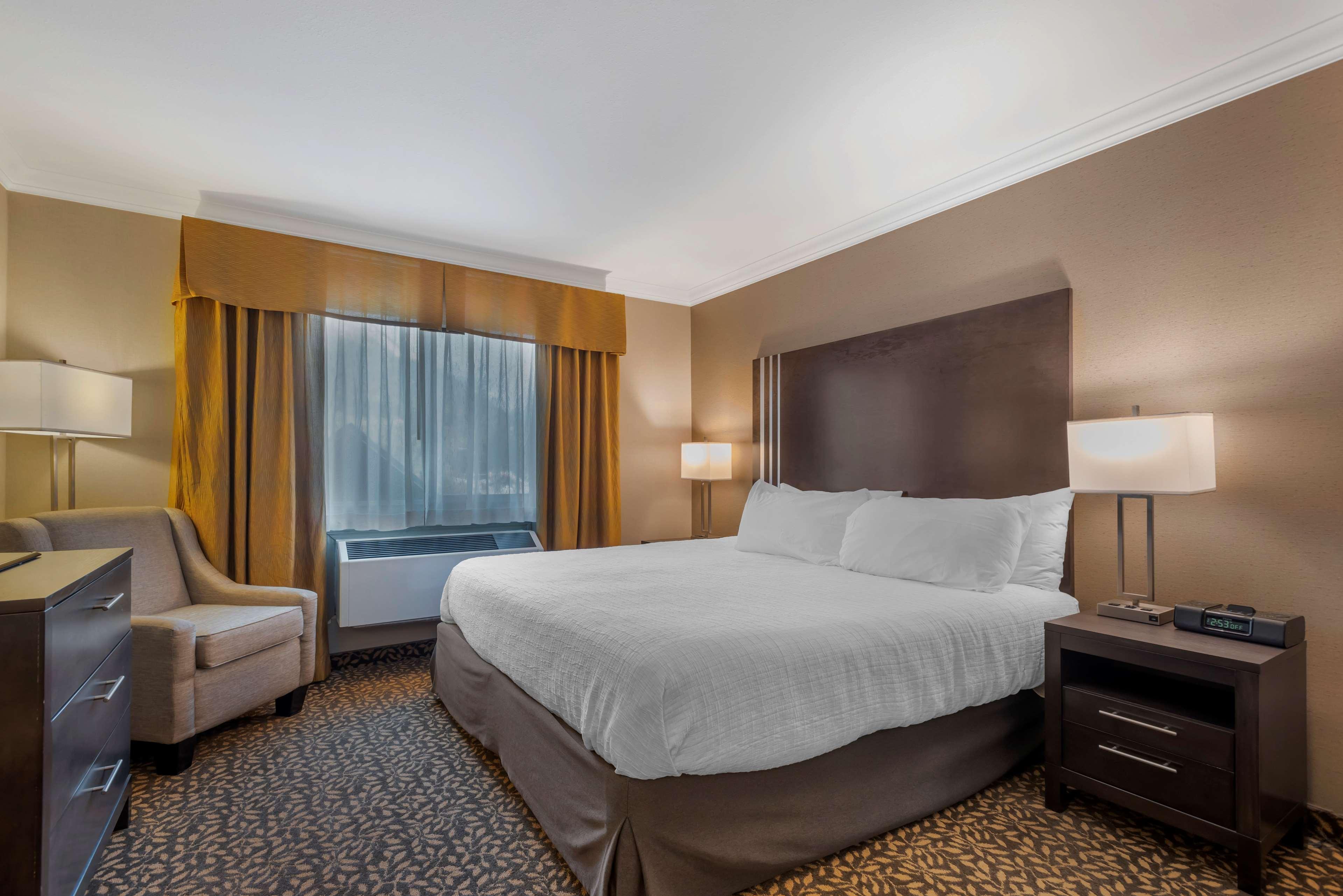 Suite Business King Bed