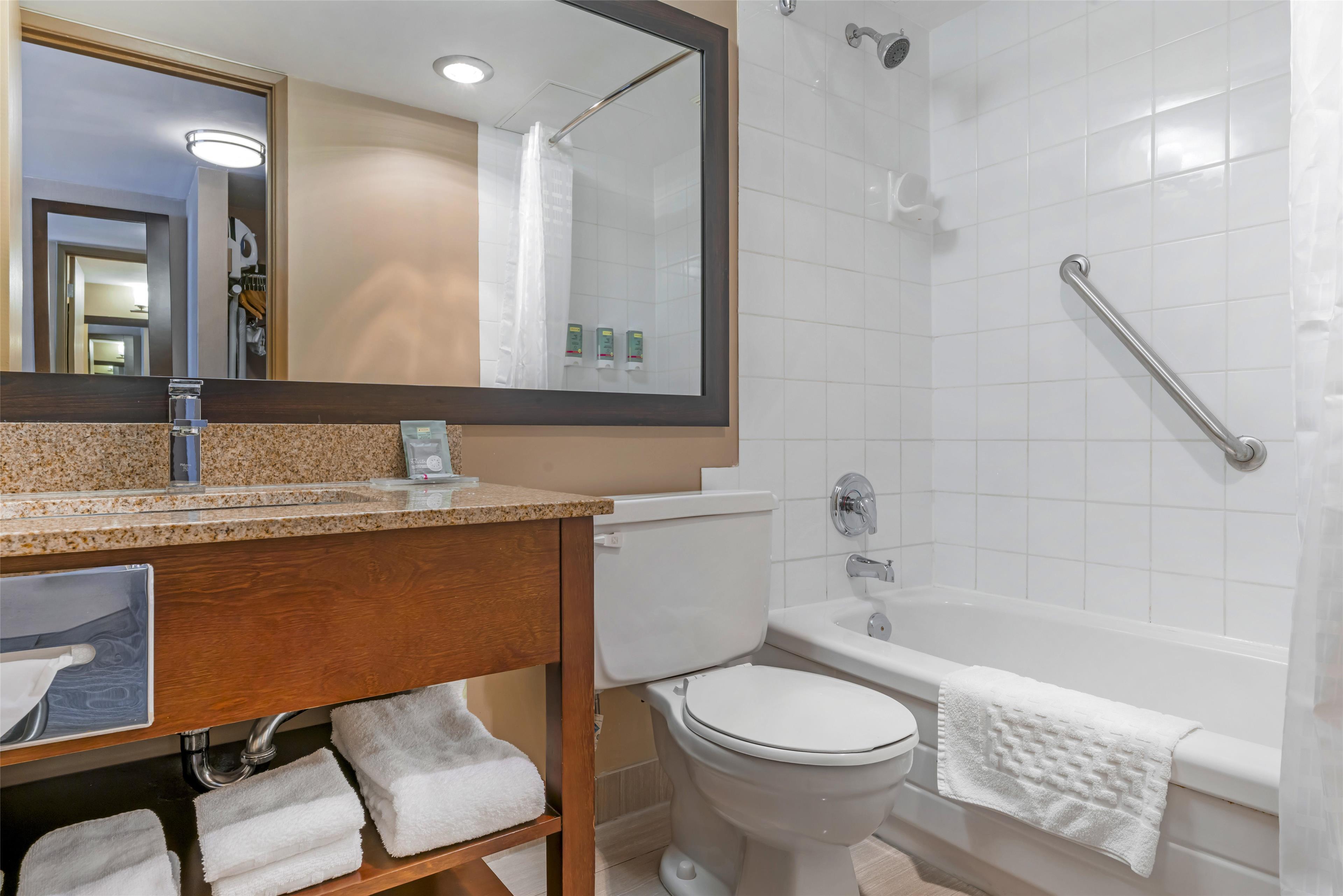 Suite King Bed Non Smoking