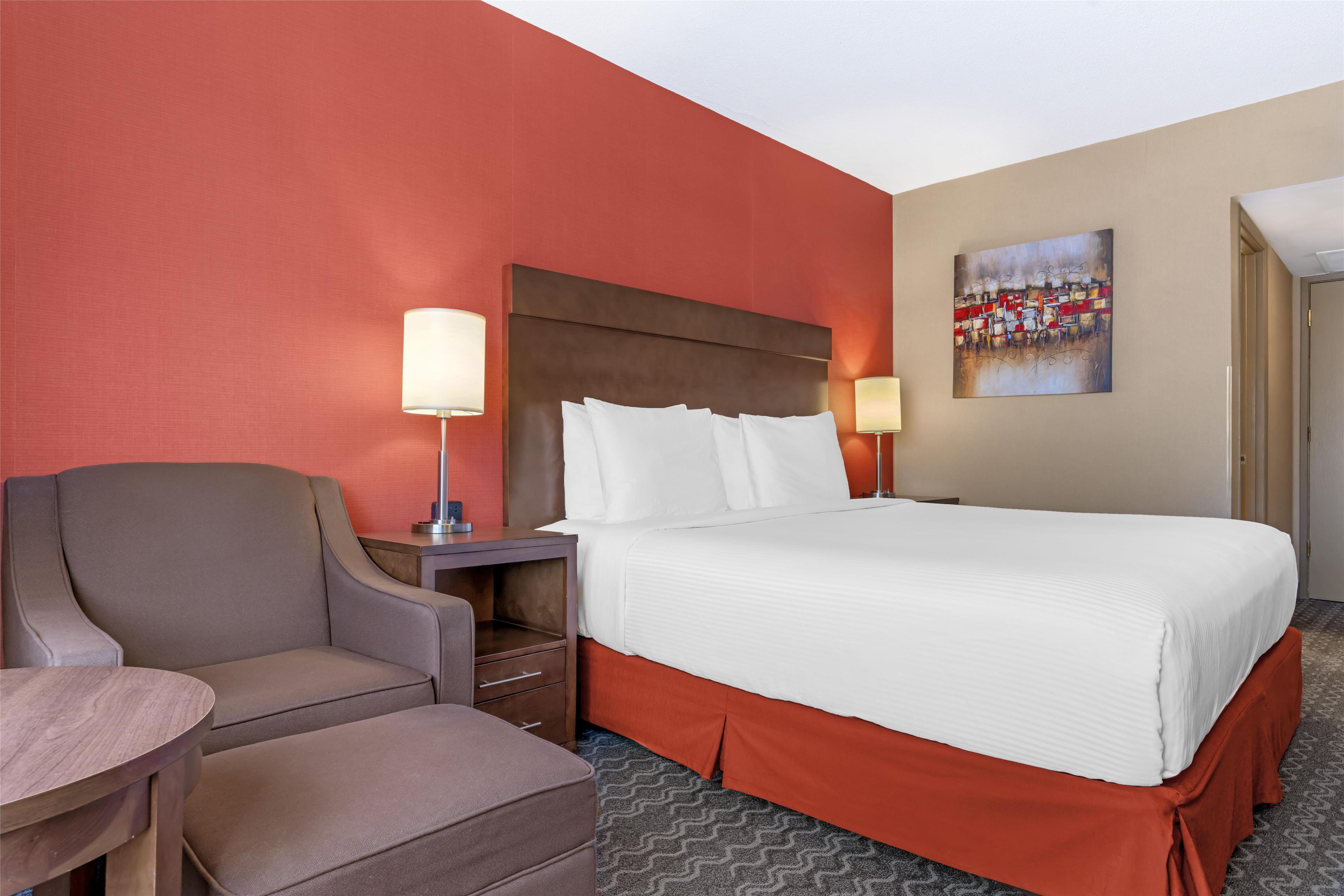 Suite King Bed Non Smoking