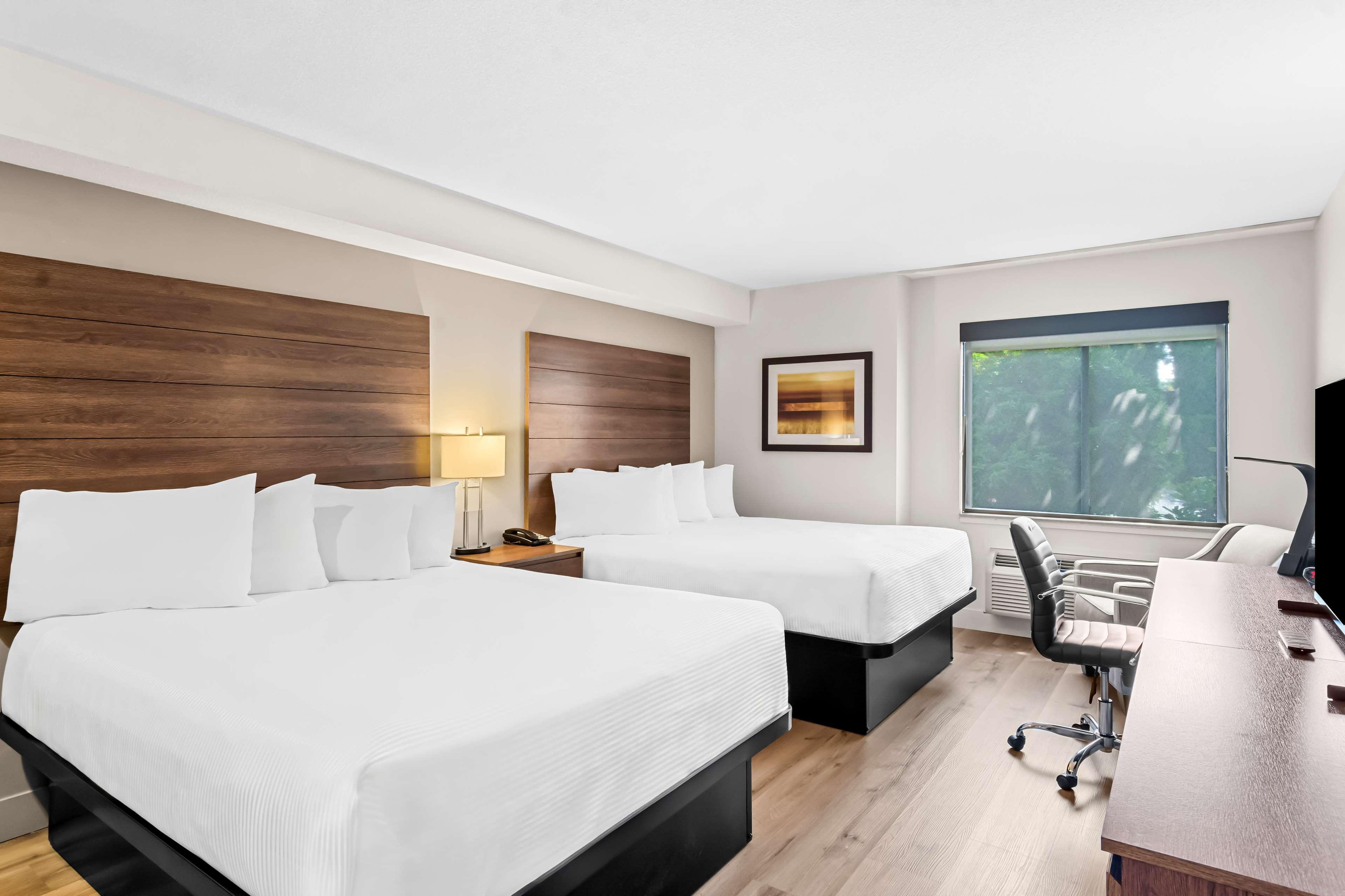 Double Two Queen Beds