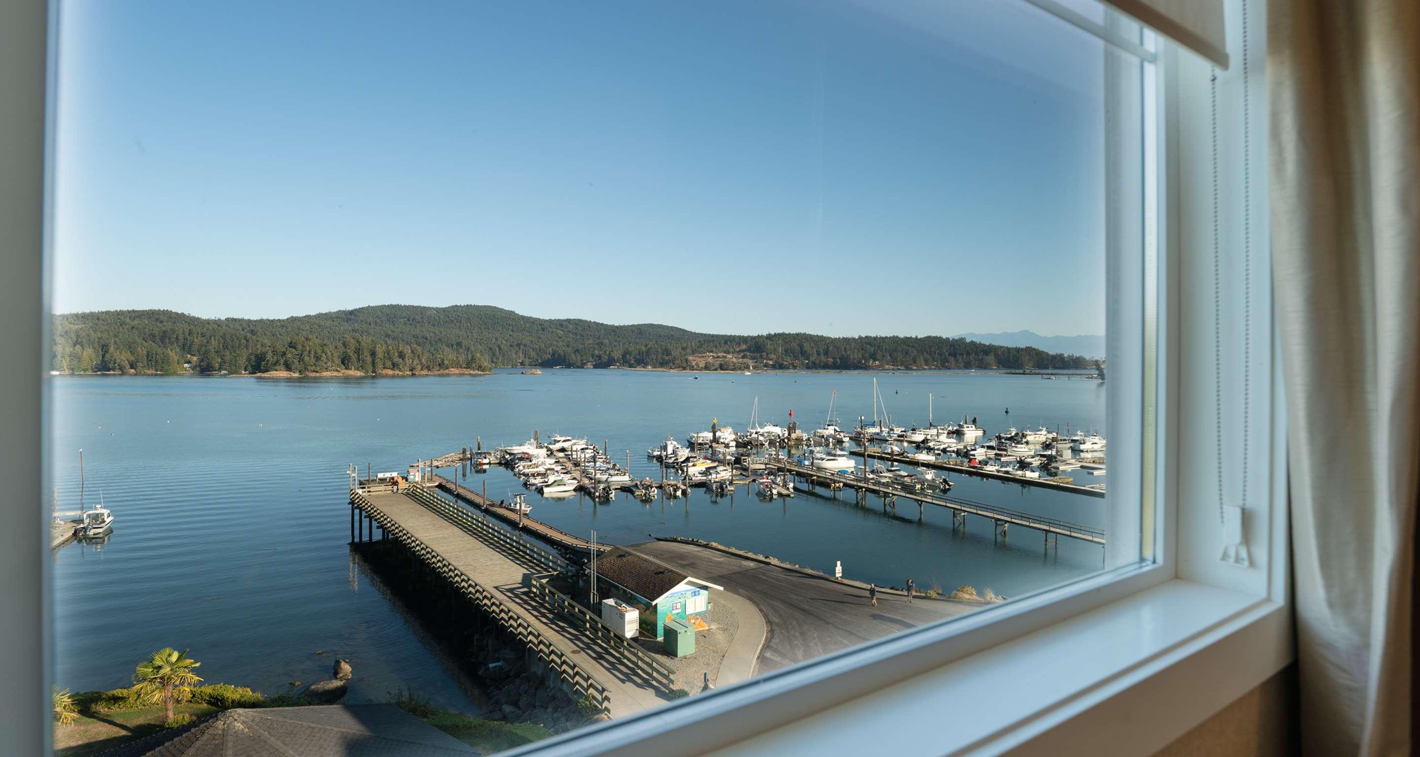 Junior Suite Capacity 4