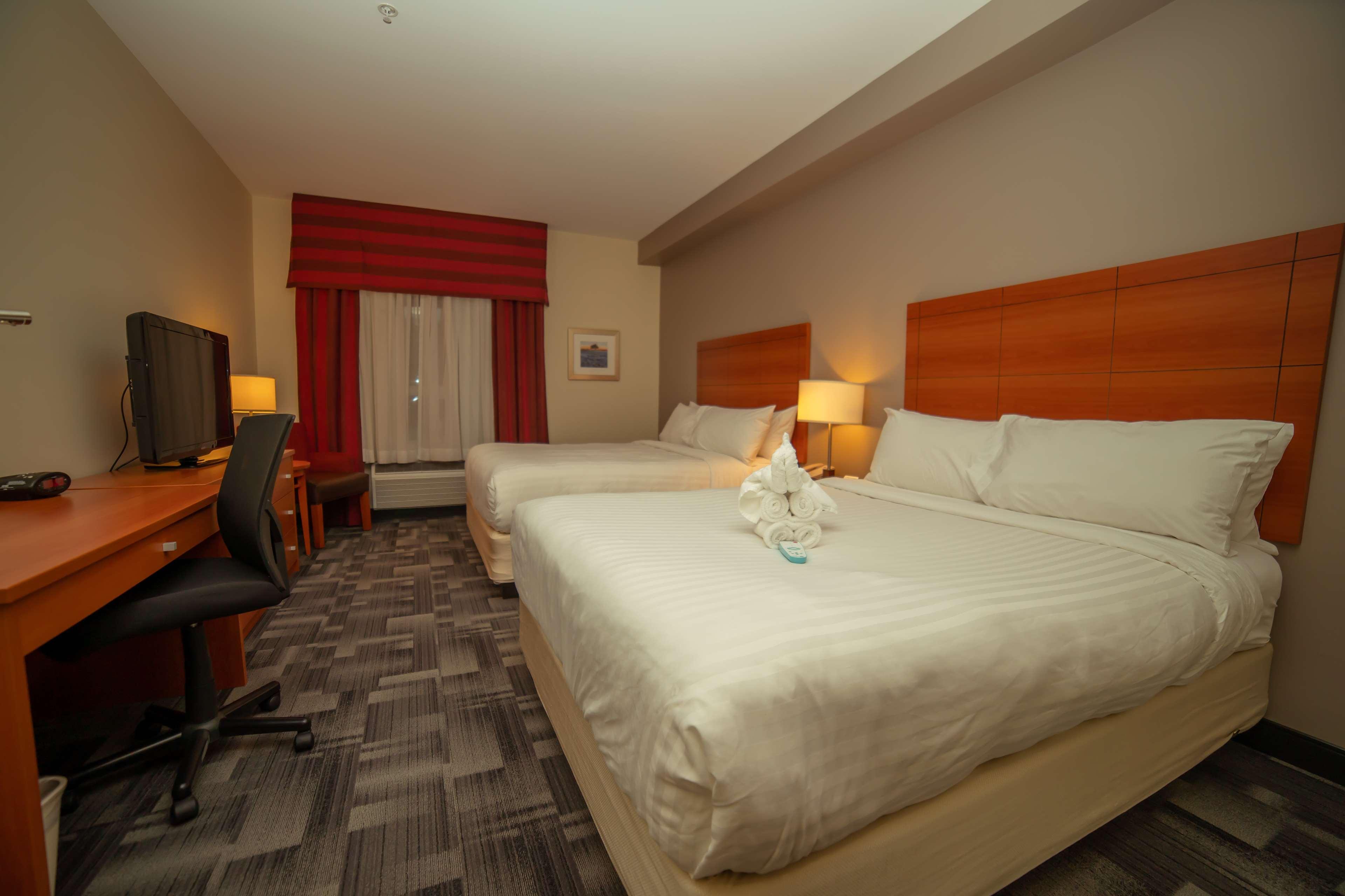 Double Two King Beds