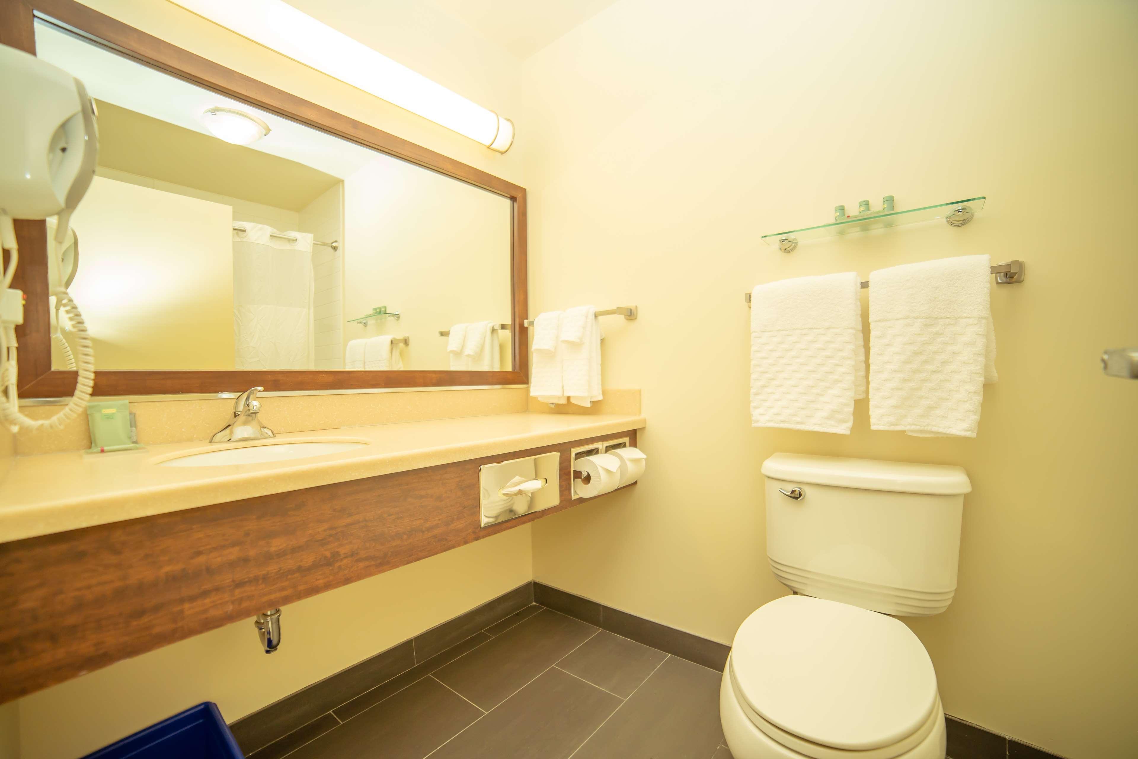 Double Two Queen Beds