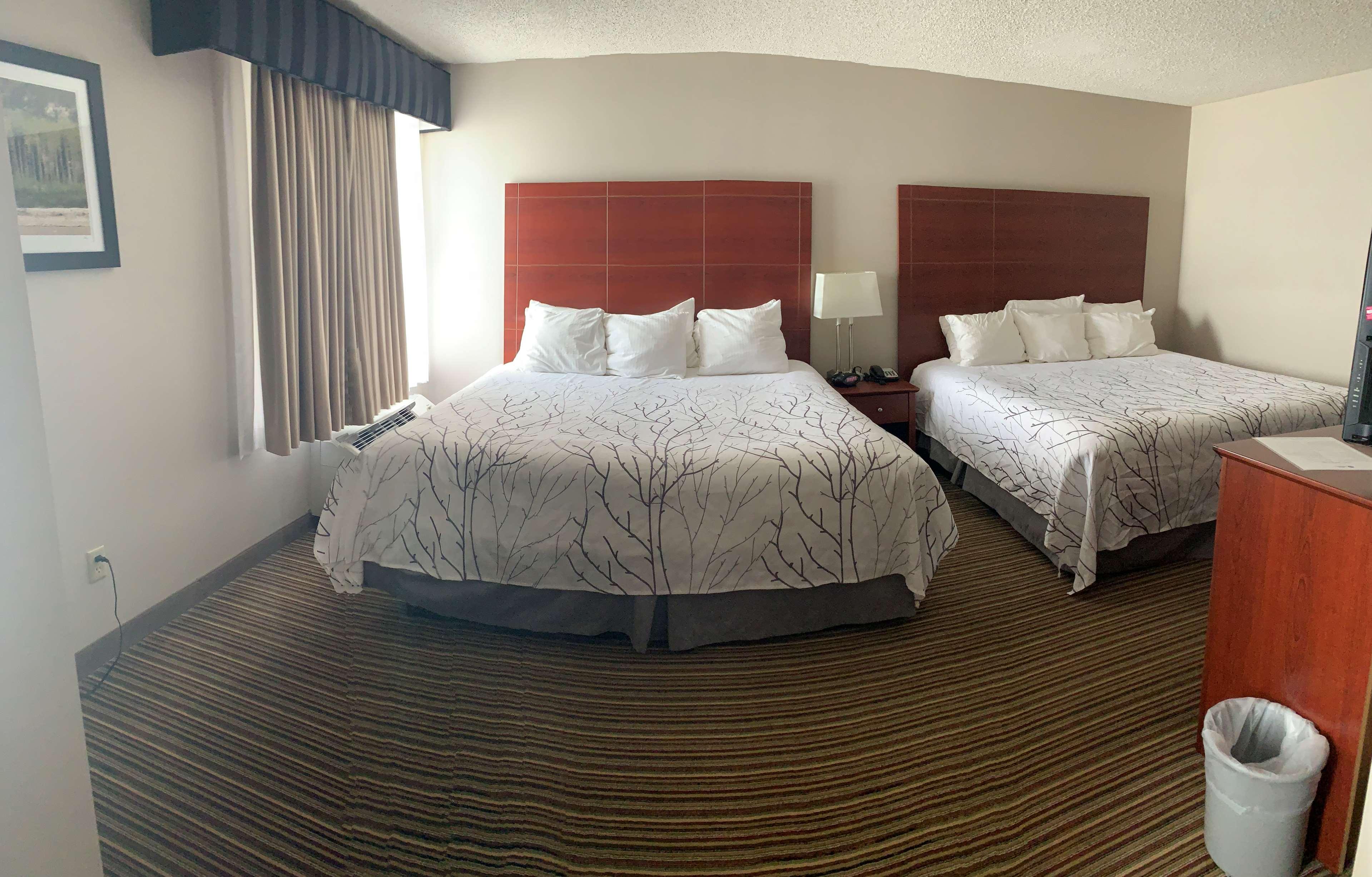 Family Room Two King Beds