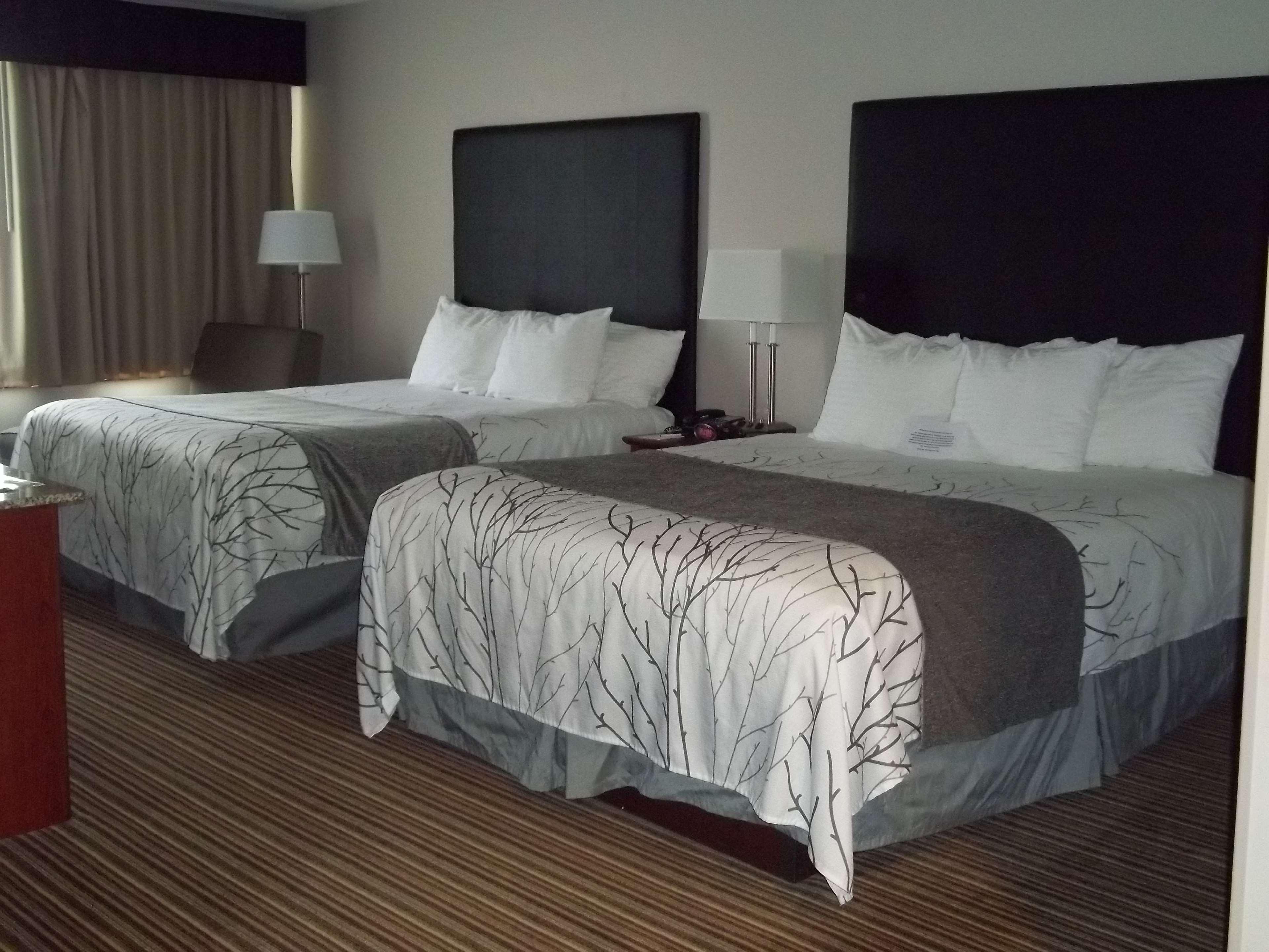 Suite Two Queen Beds Non Smoking