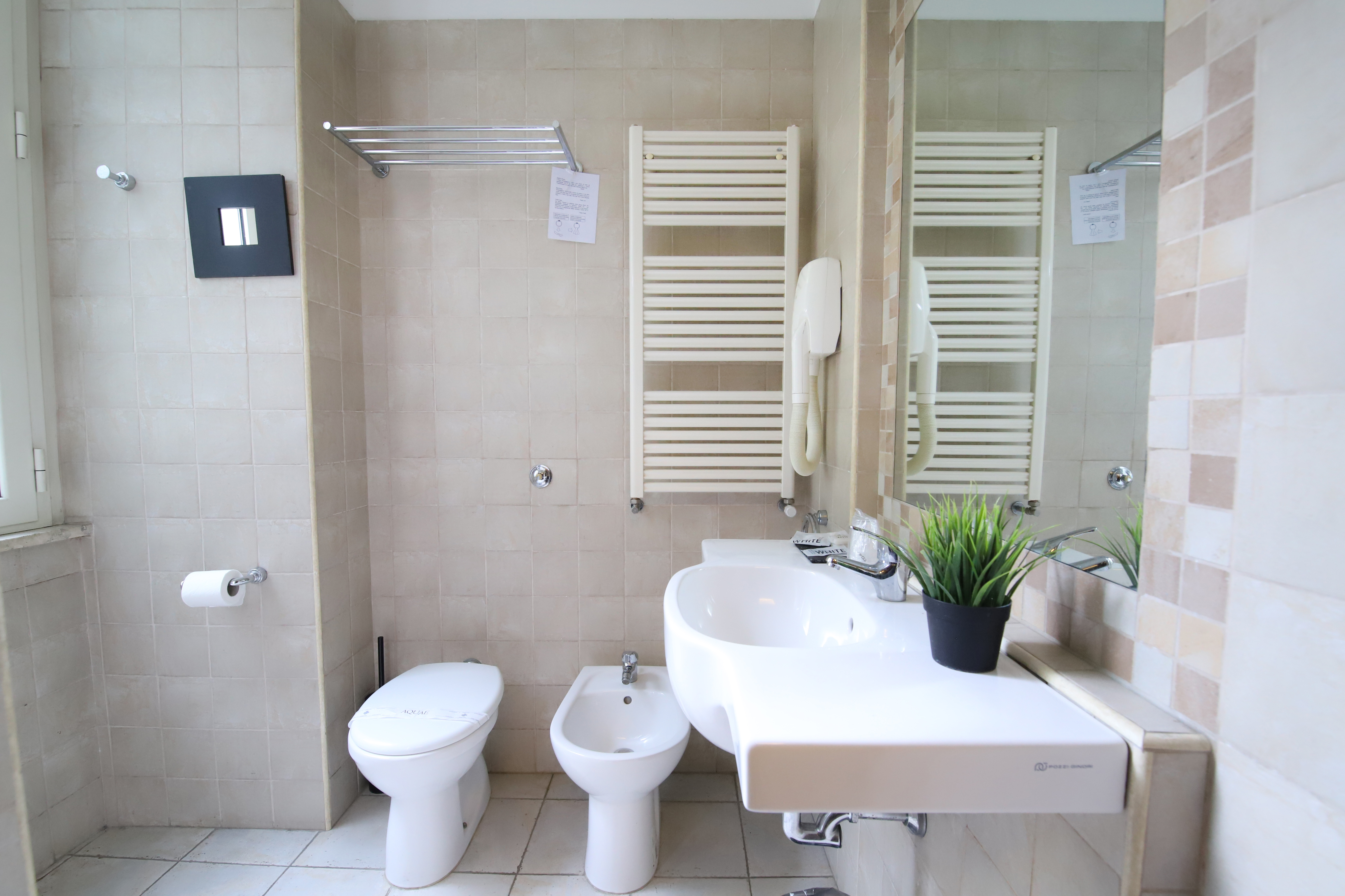 Double or Twin Superior