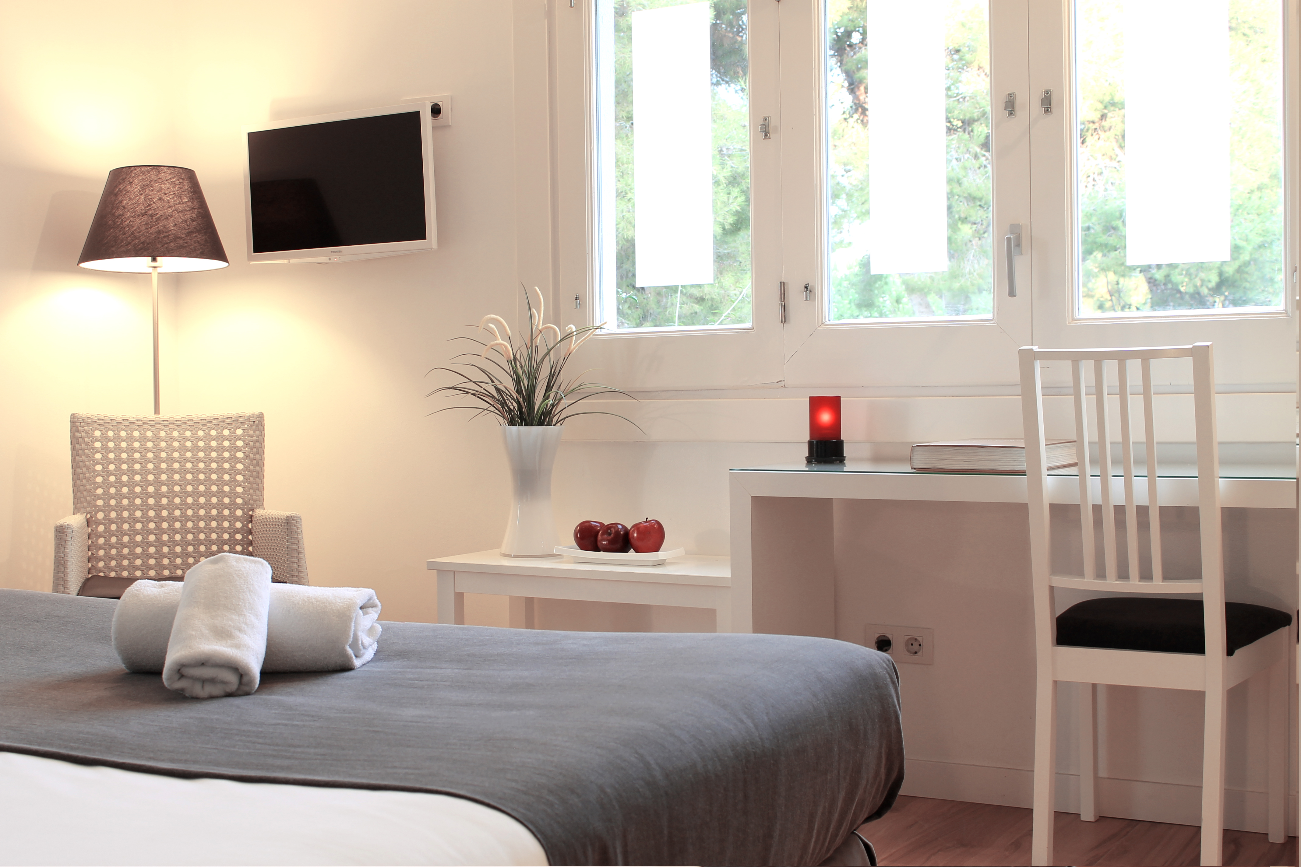 Double or Twin with Terrace