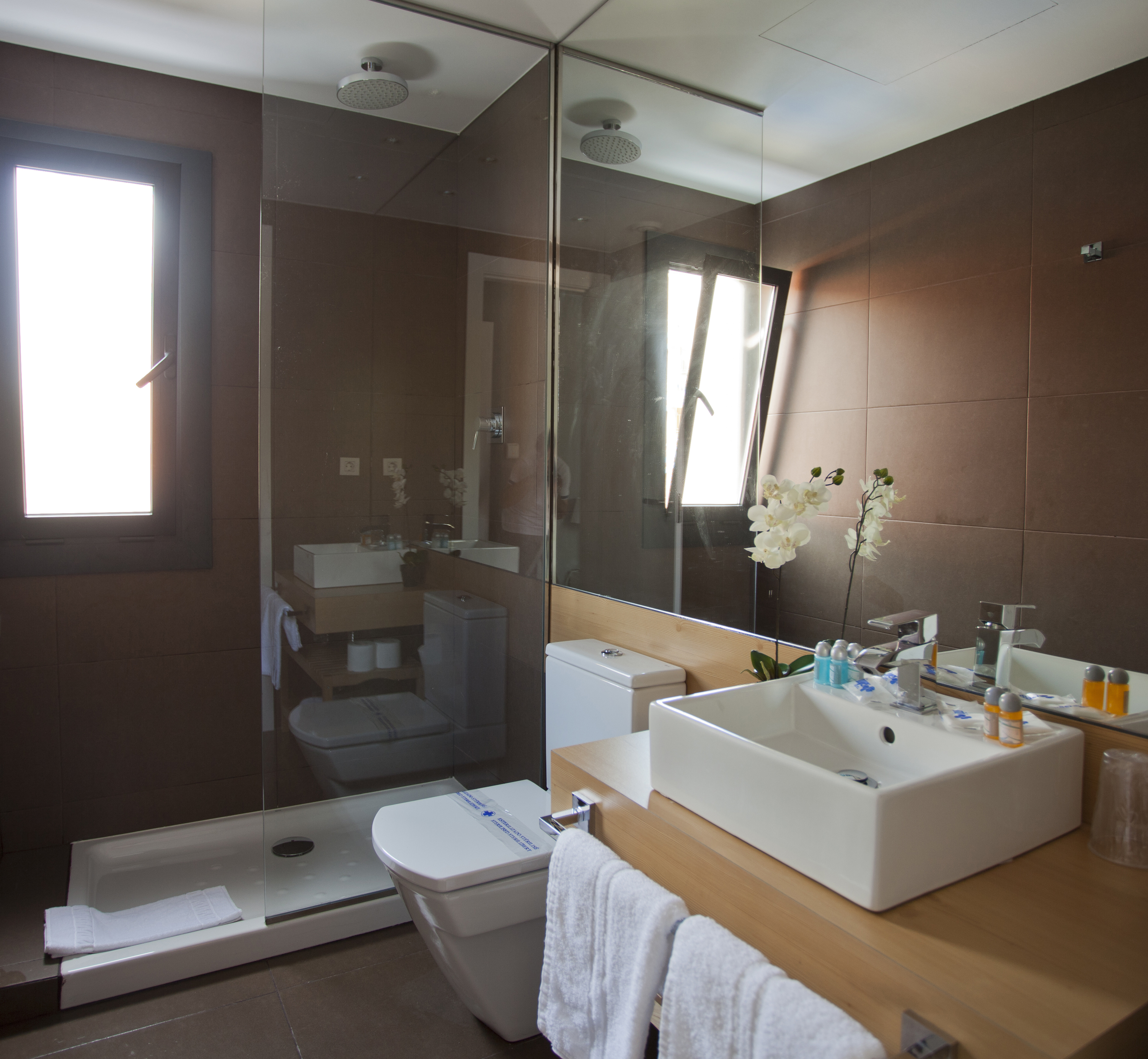 Double or Twin Standard