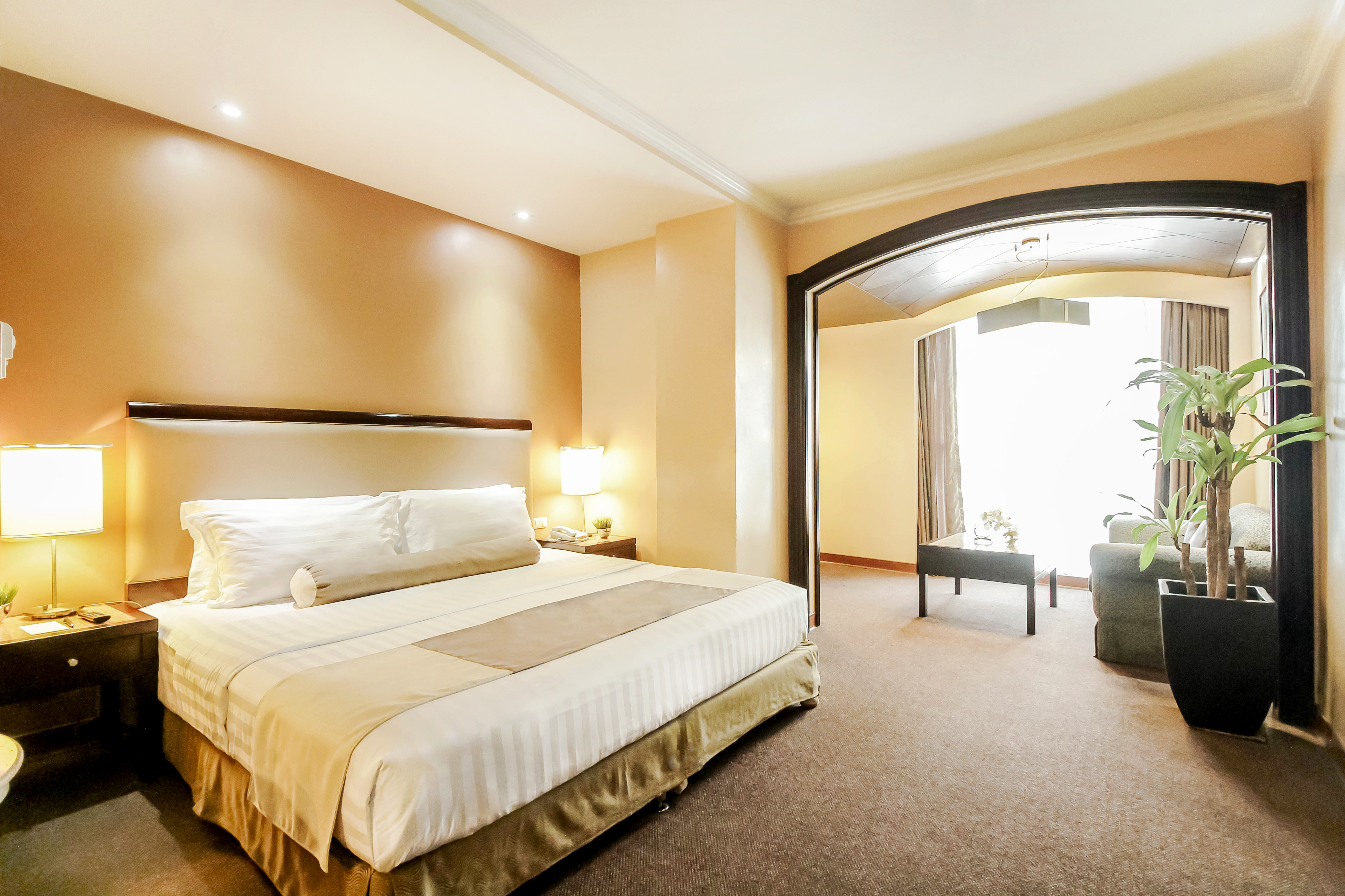 Double or Twin Standard