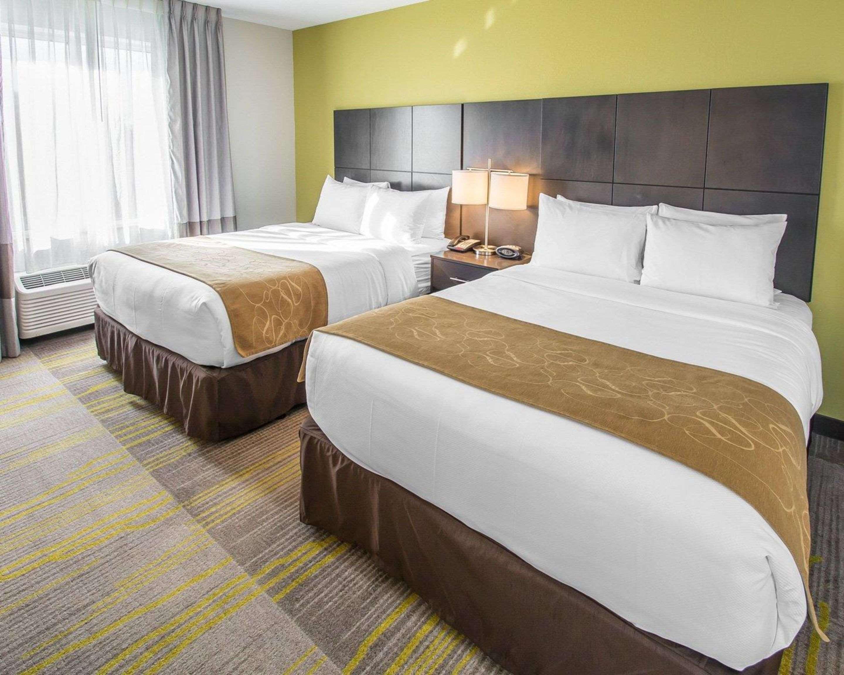 Suite Two Queen Beds