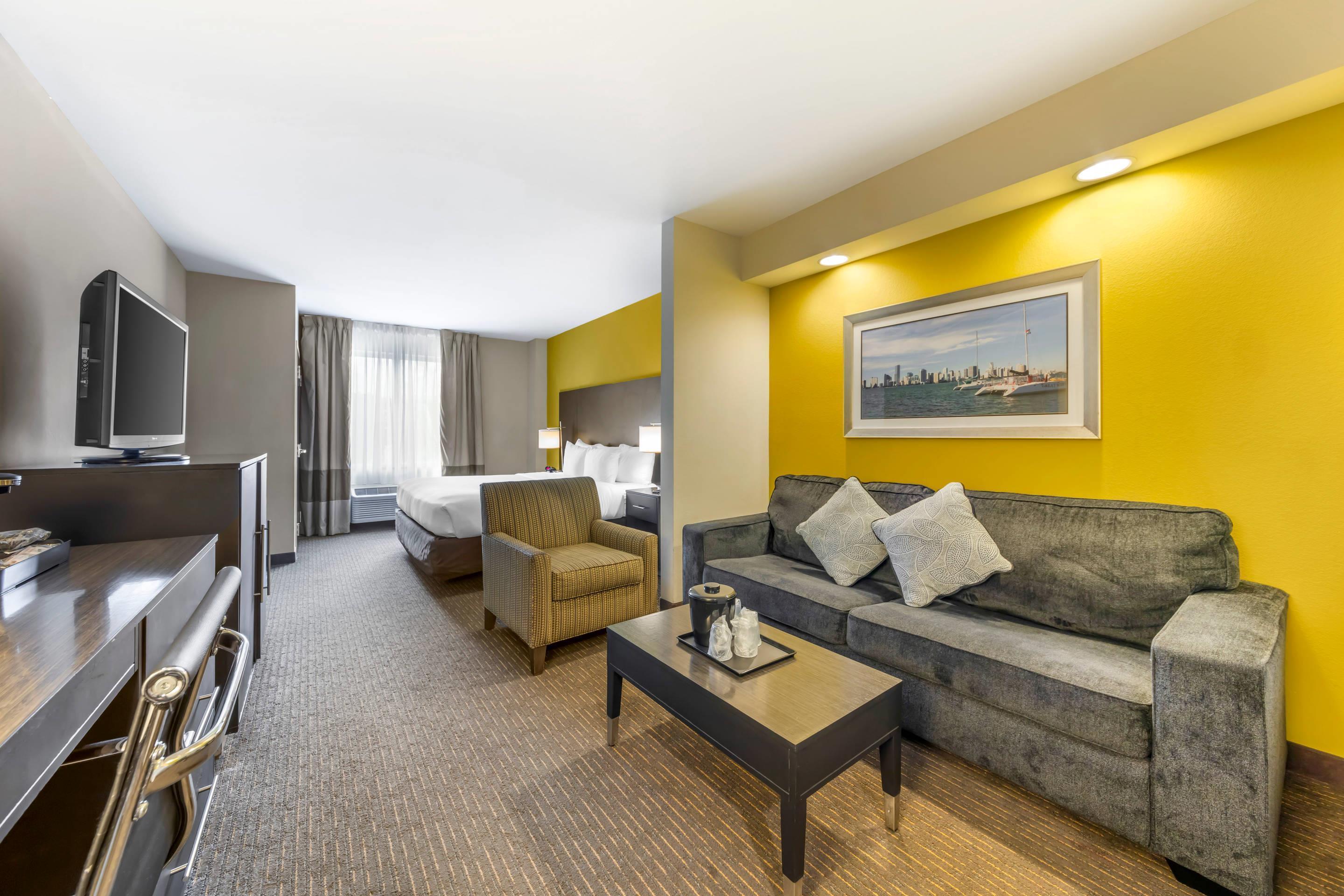 Suite King Bed Non Smoking