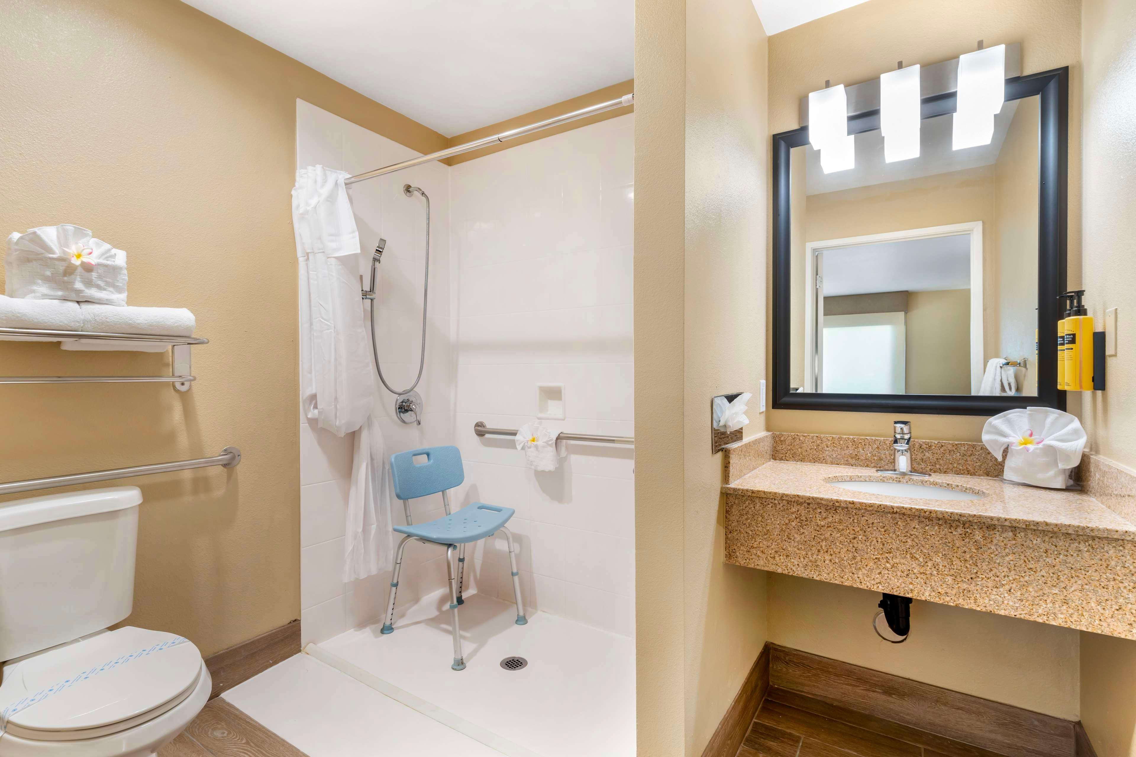 Double Accessible King Size Bed