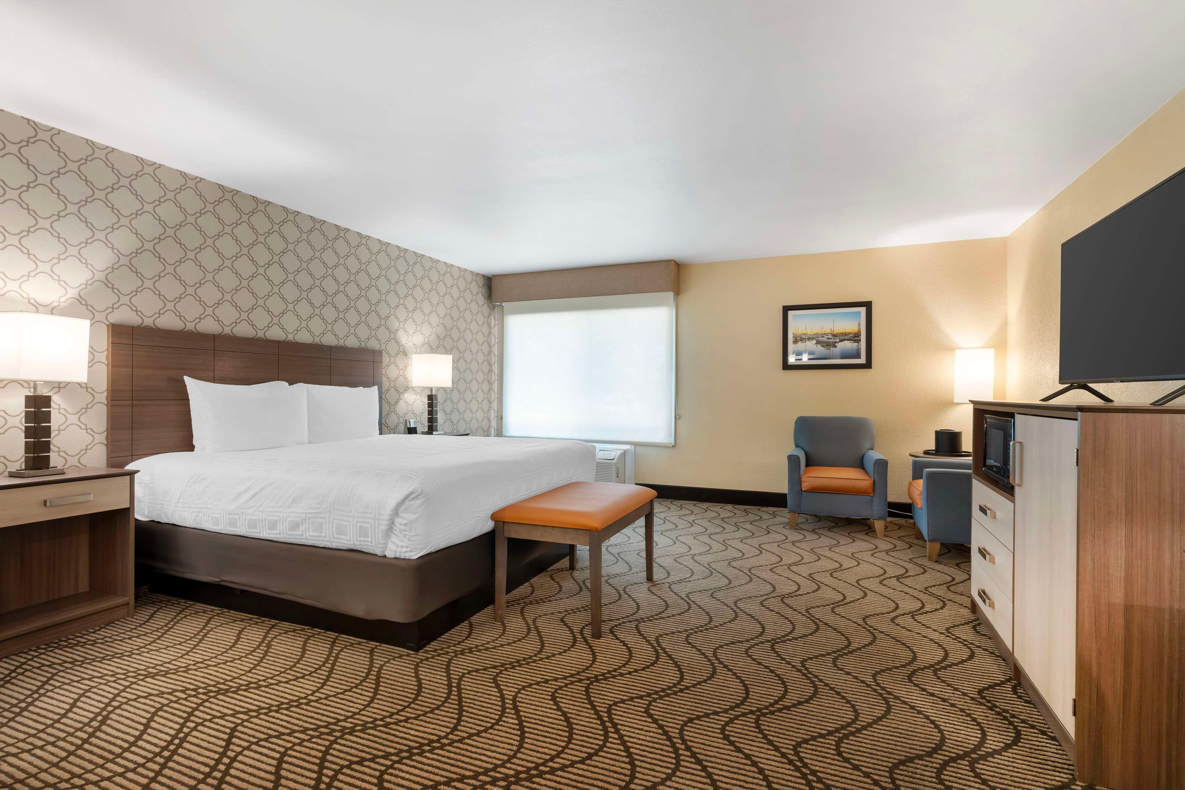 Room King Bed Non Smoking