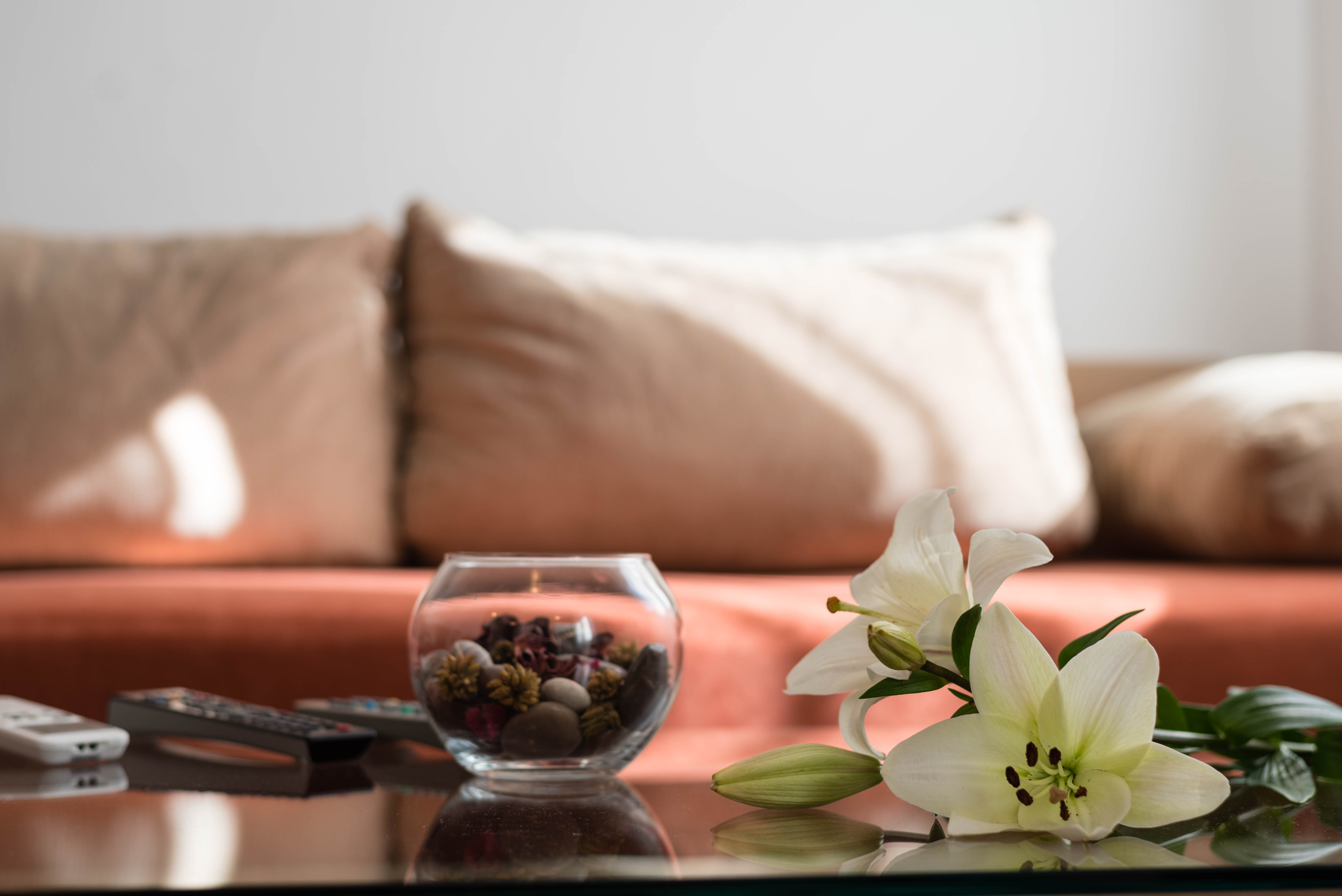 Apartment Capacity 4