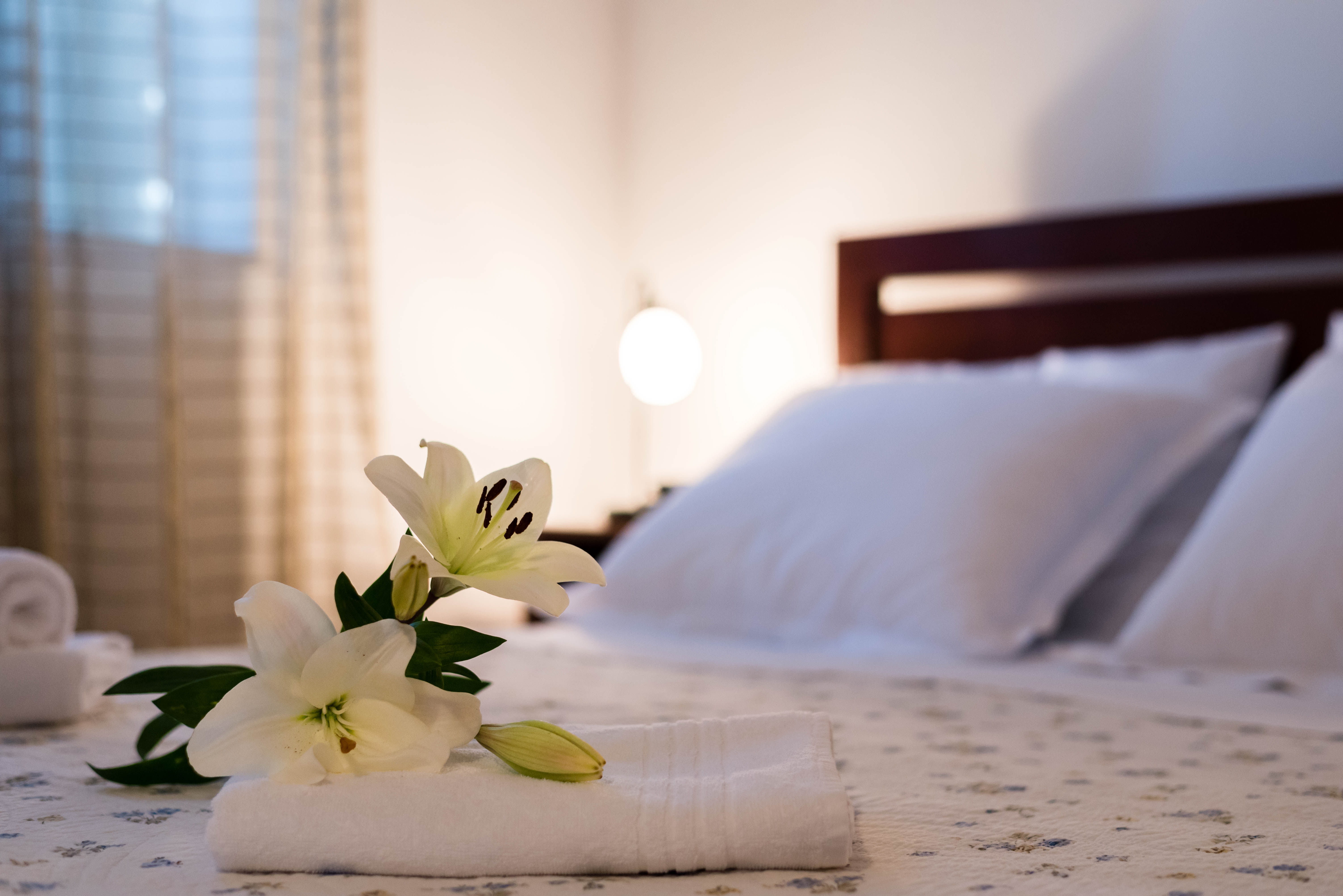 Apartment Capacity 4