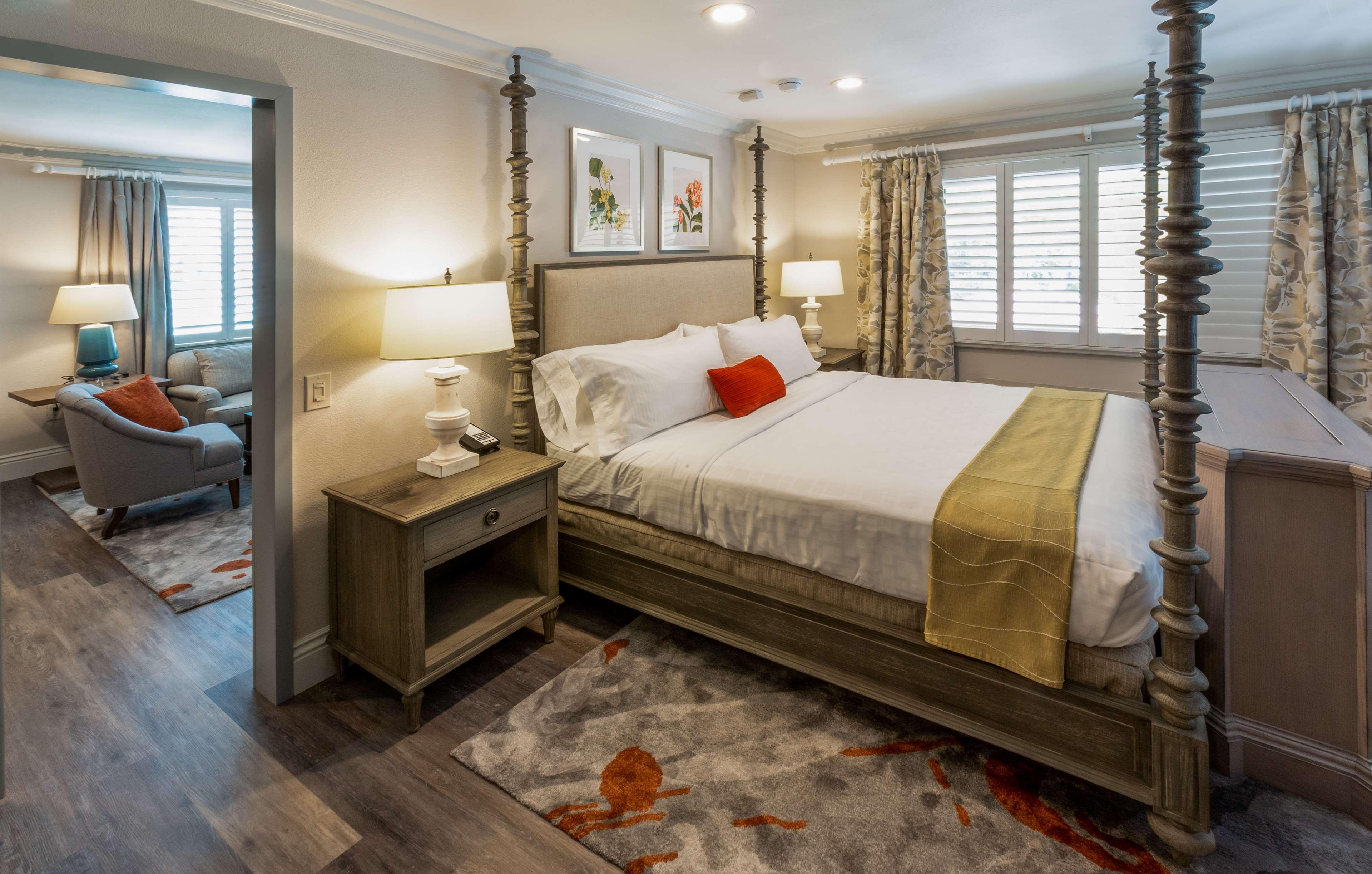 Suite King Bed Non Smoking