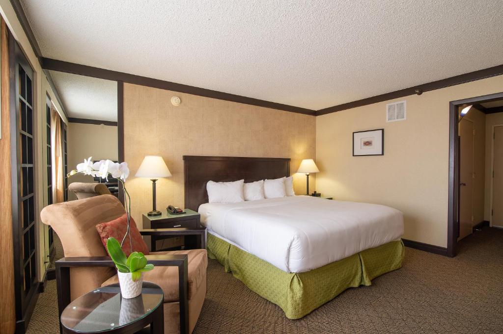 Room Deluxe King Bed