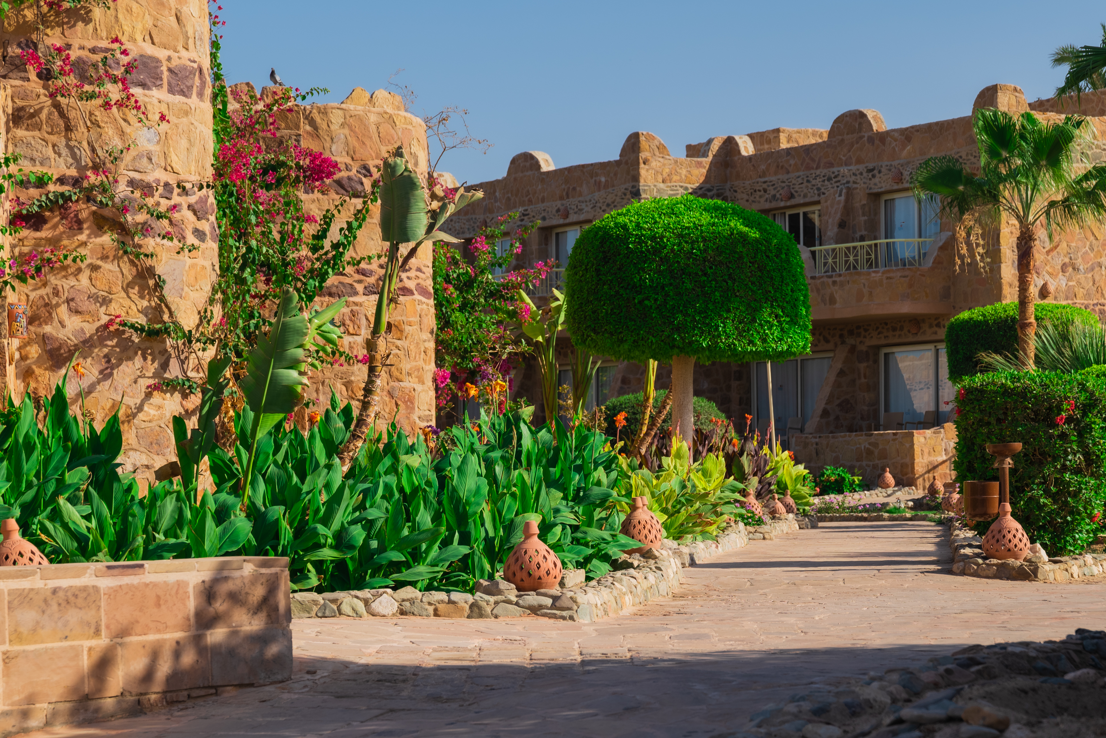 Bungalow Deluxe Sea View