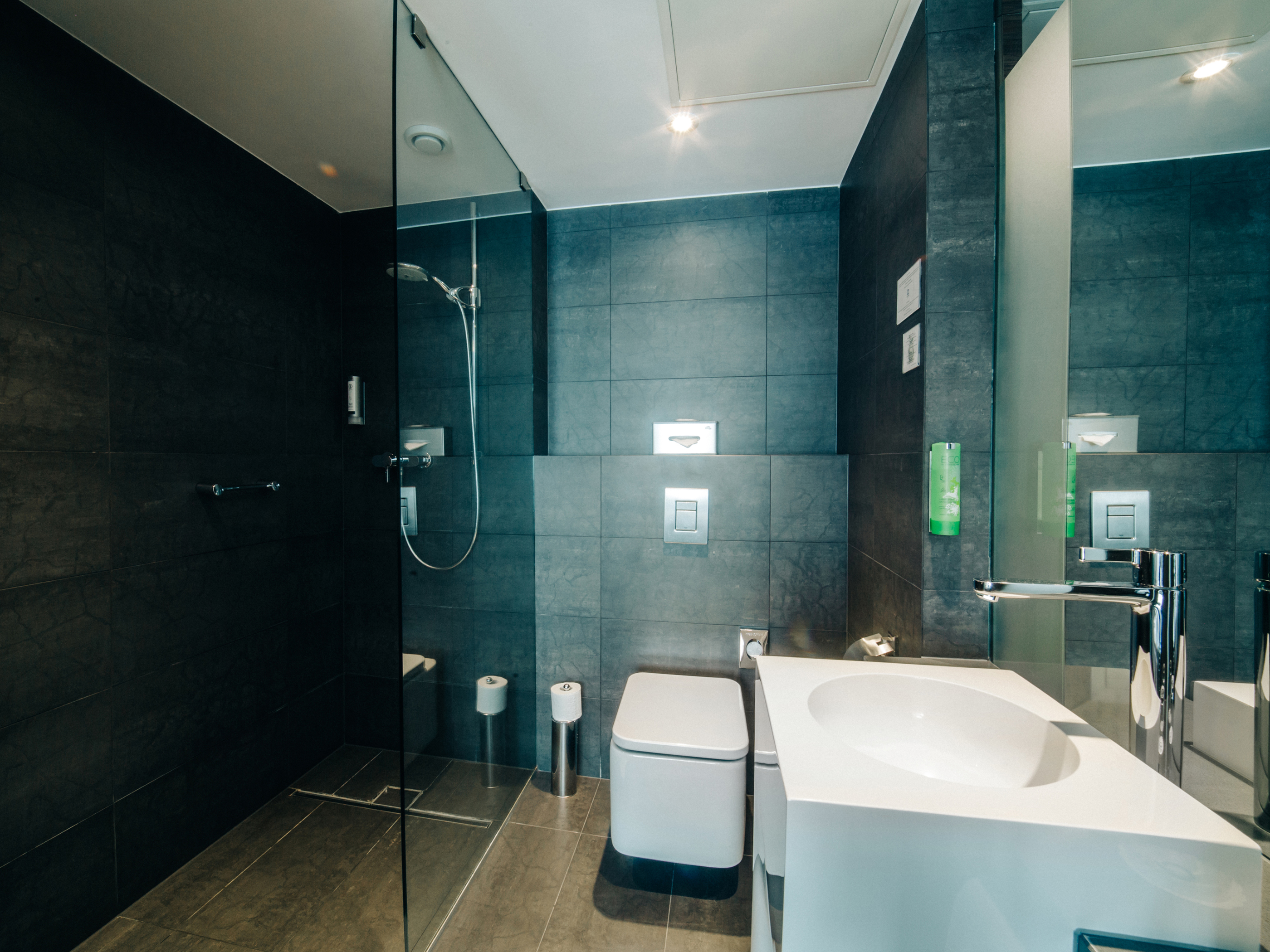 Double or Twin Standard