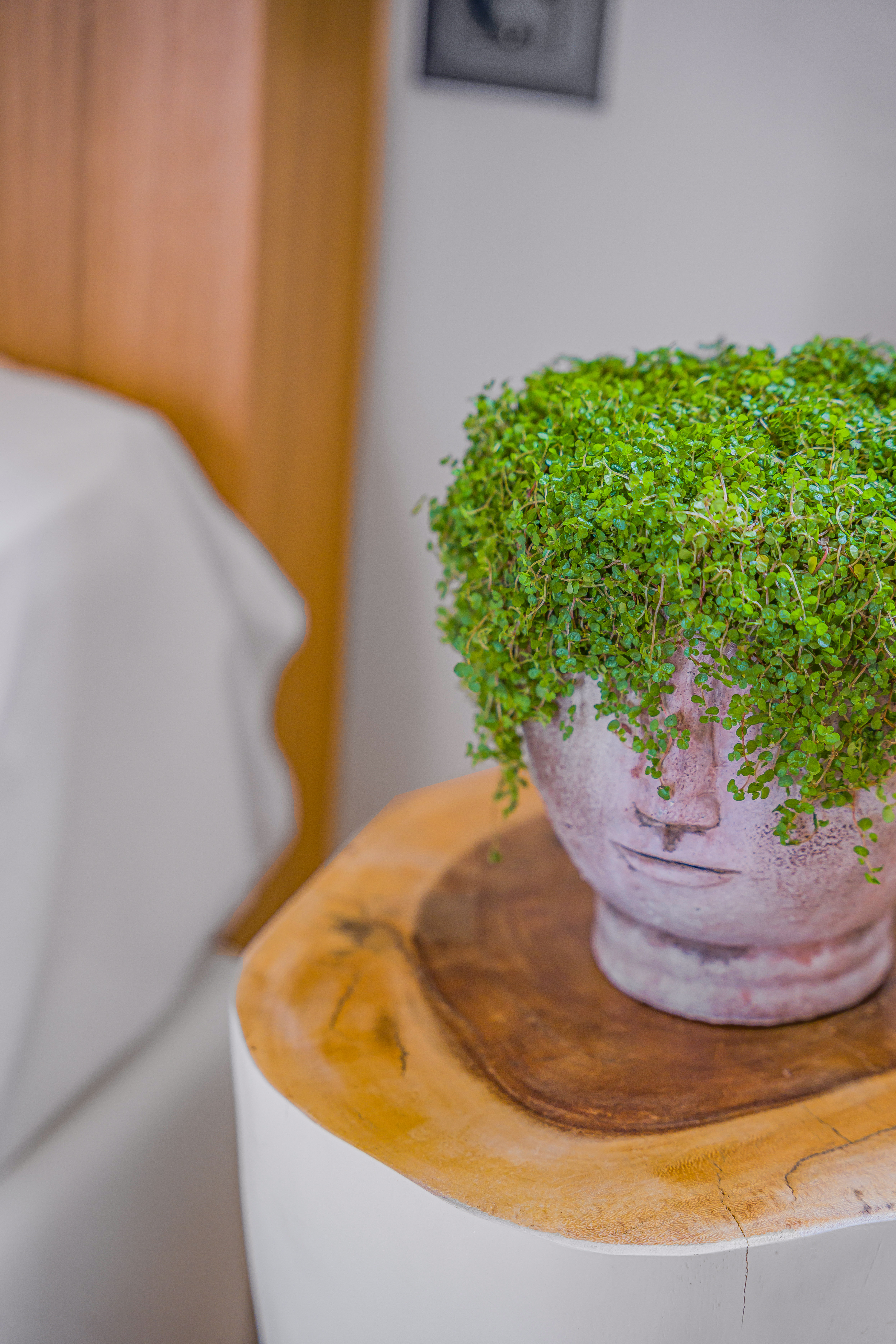 Apartment Garden View One Bedroom