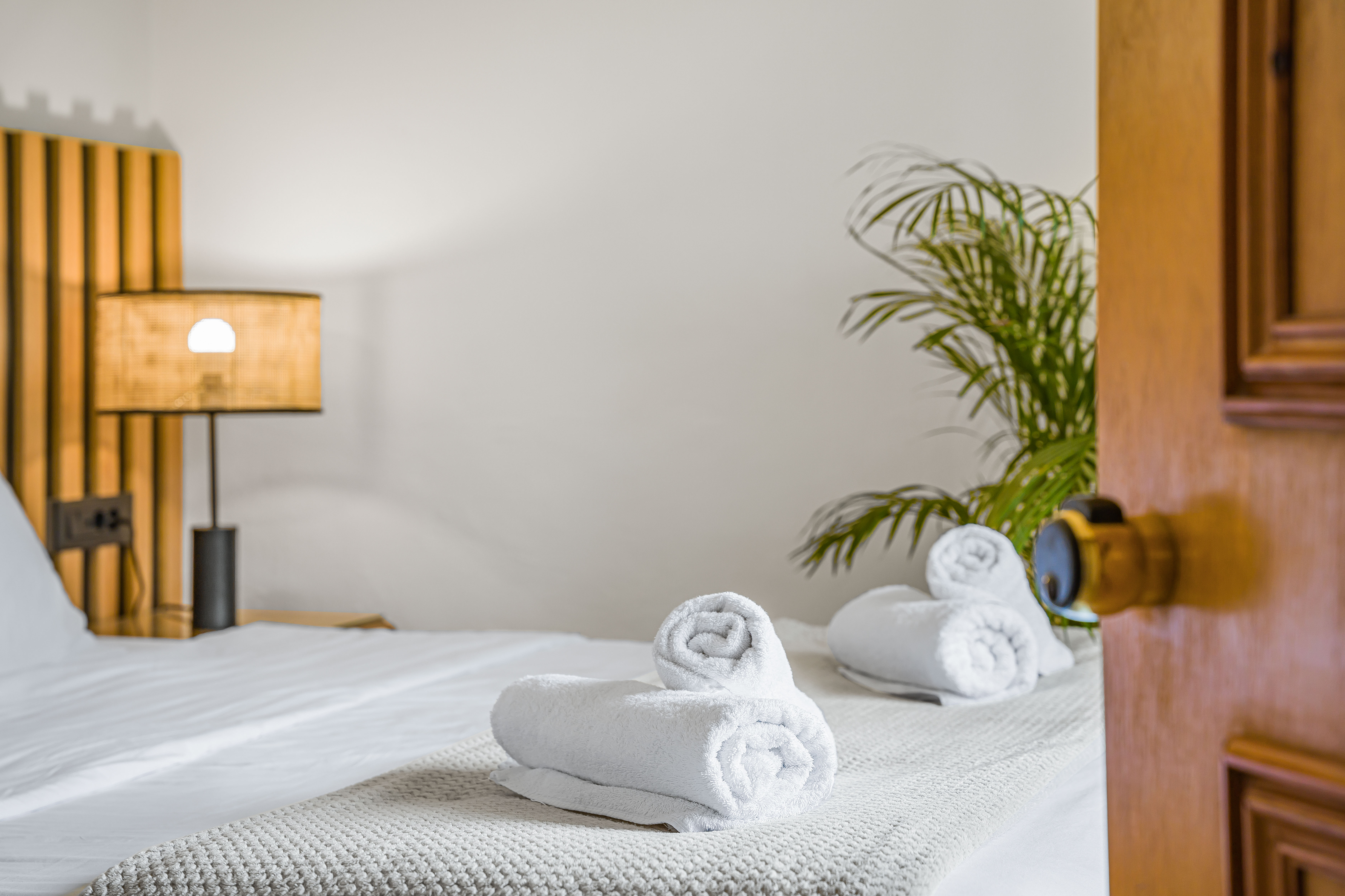 Apartment One Bedroom