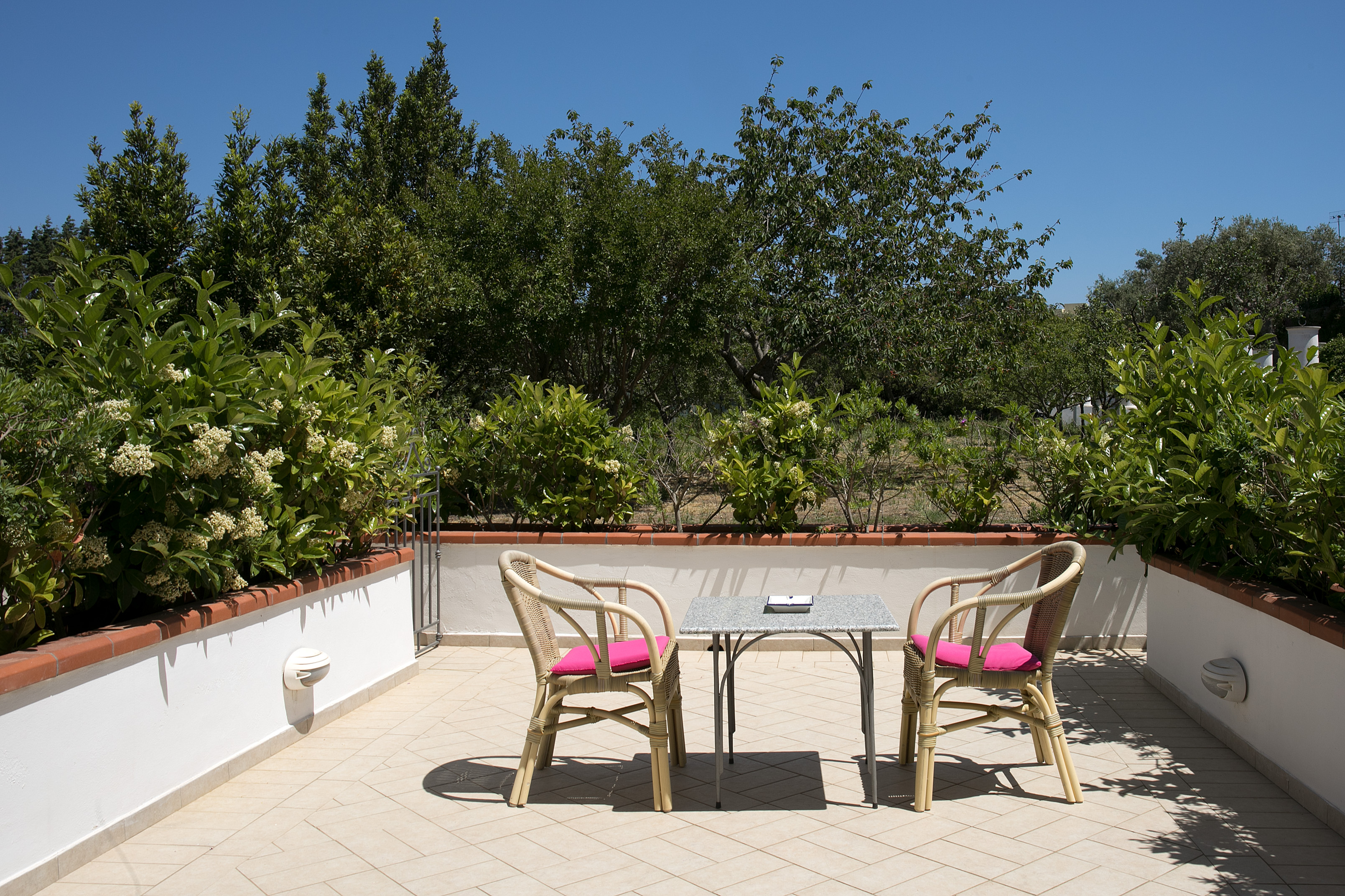 Double or Twin Standard