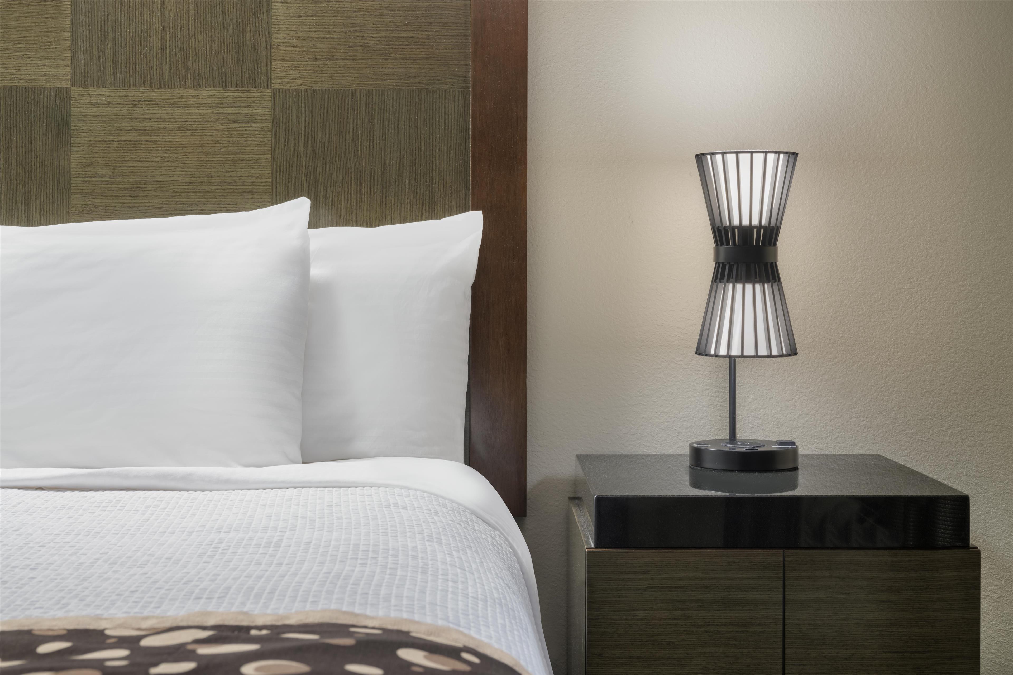 Suite Accessible King Size Bed