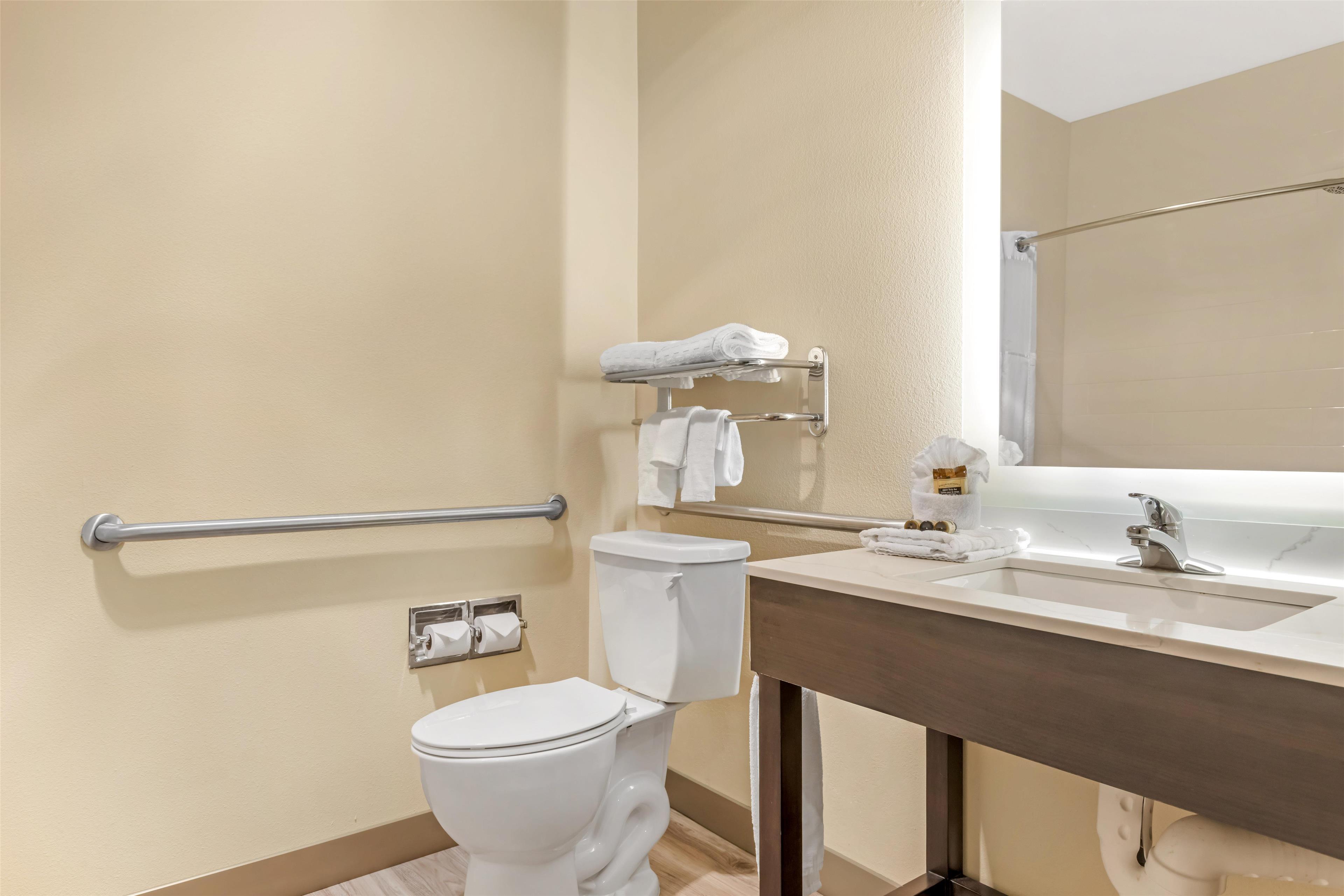 Suite King Bed Non Smoking