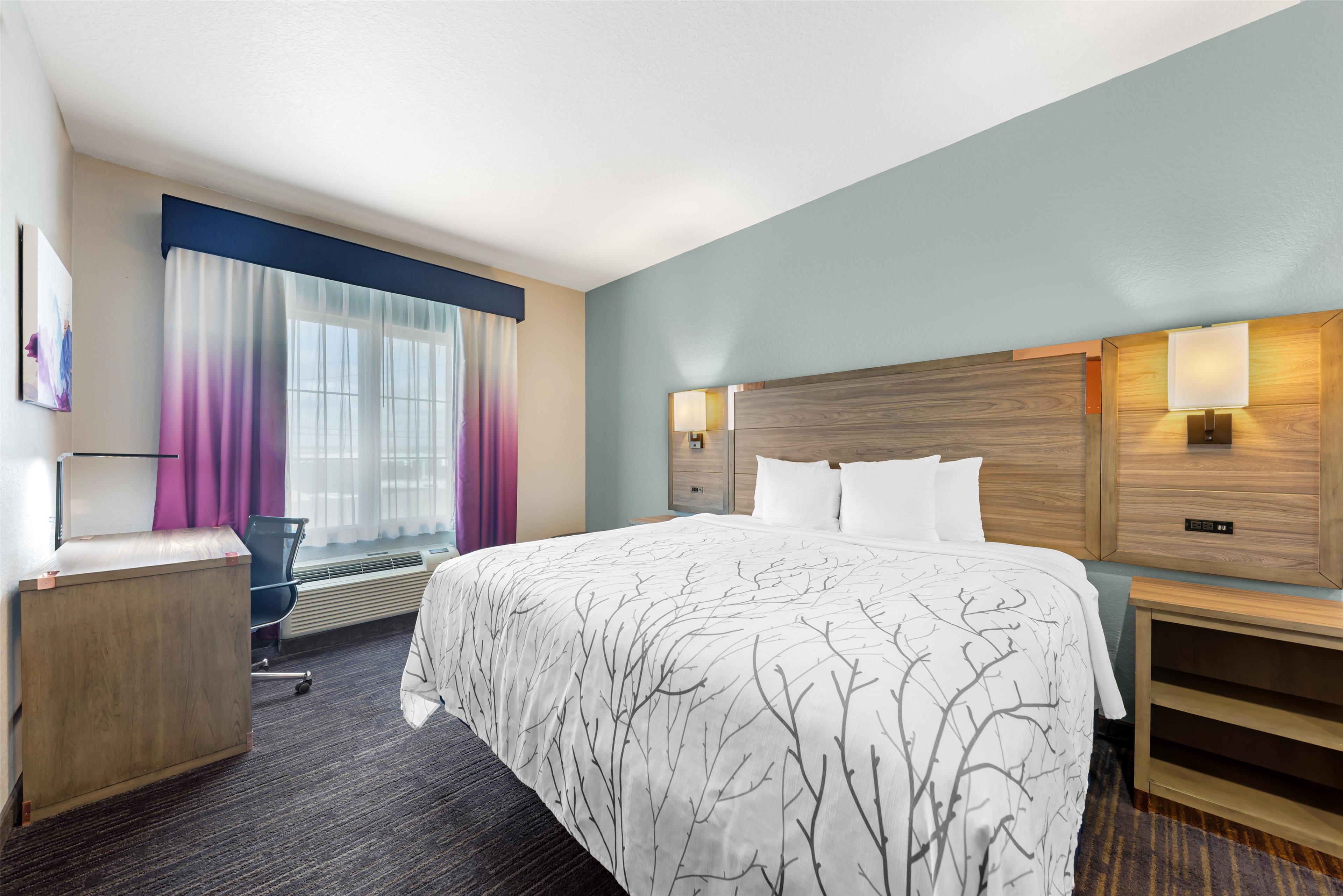 Suite King Bed Non Smoking