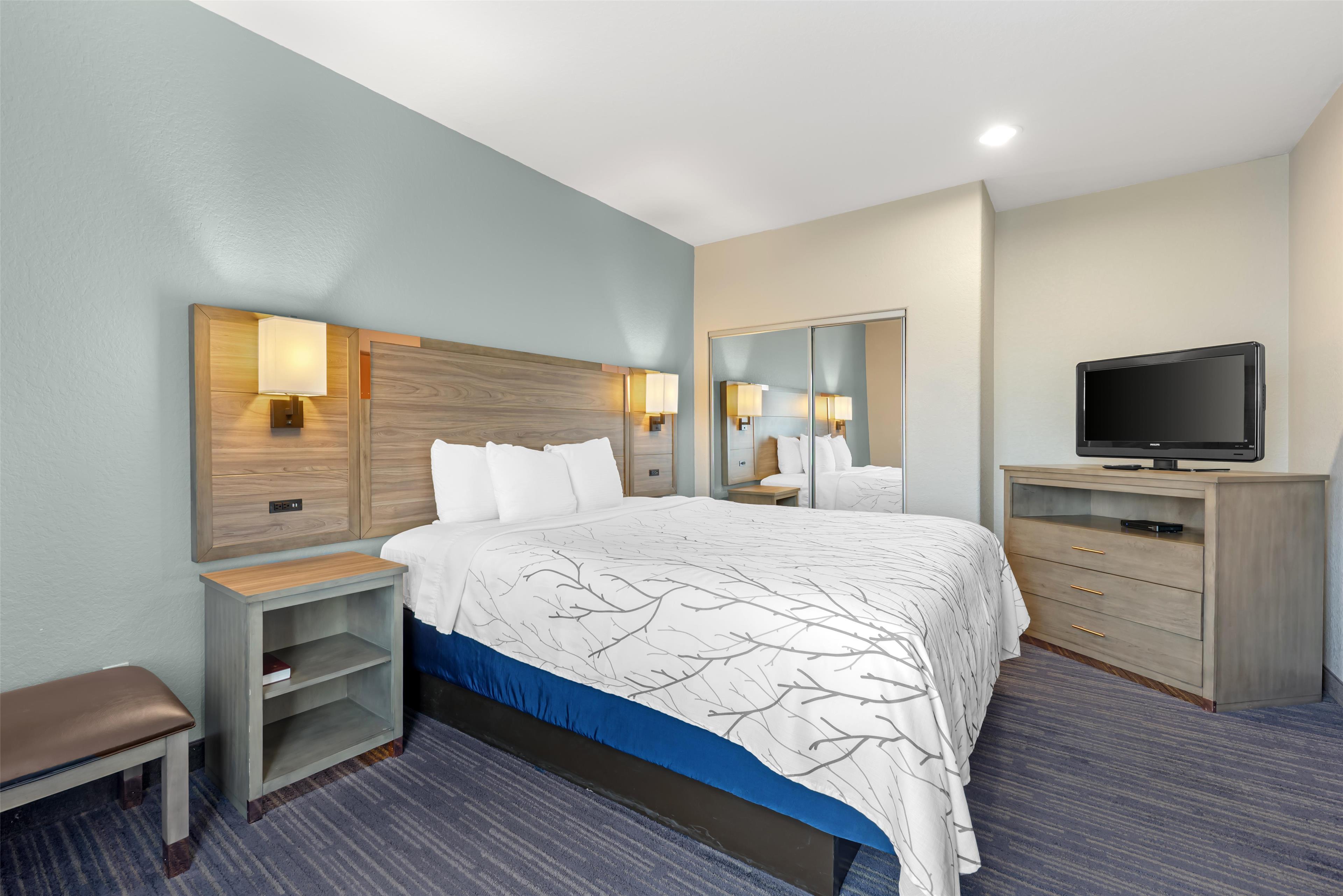 Suite King Bed Non Smoking