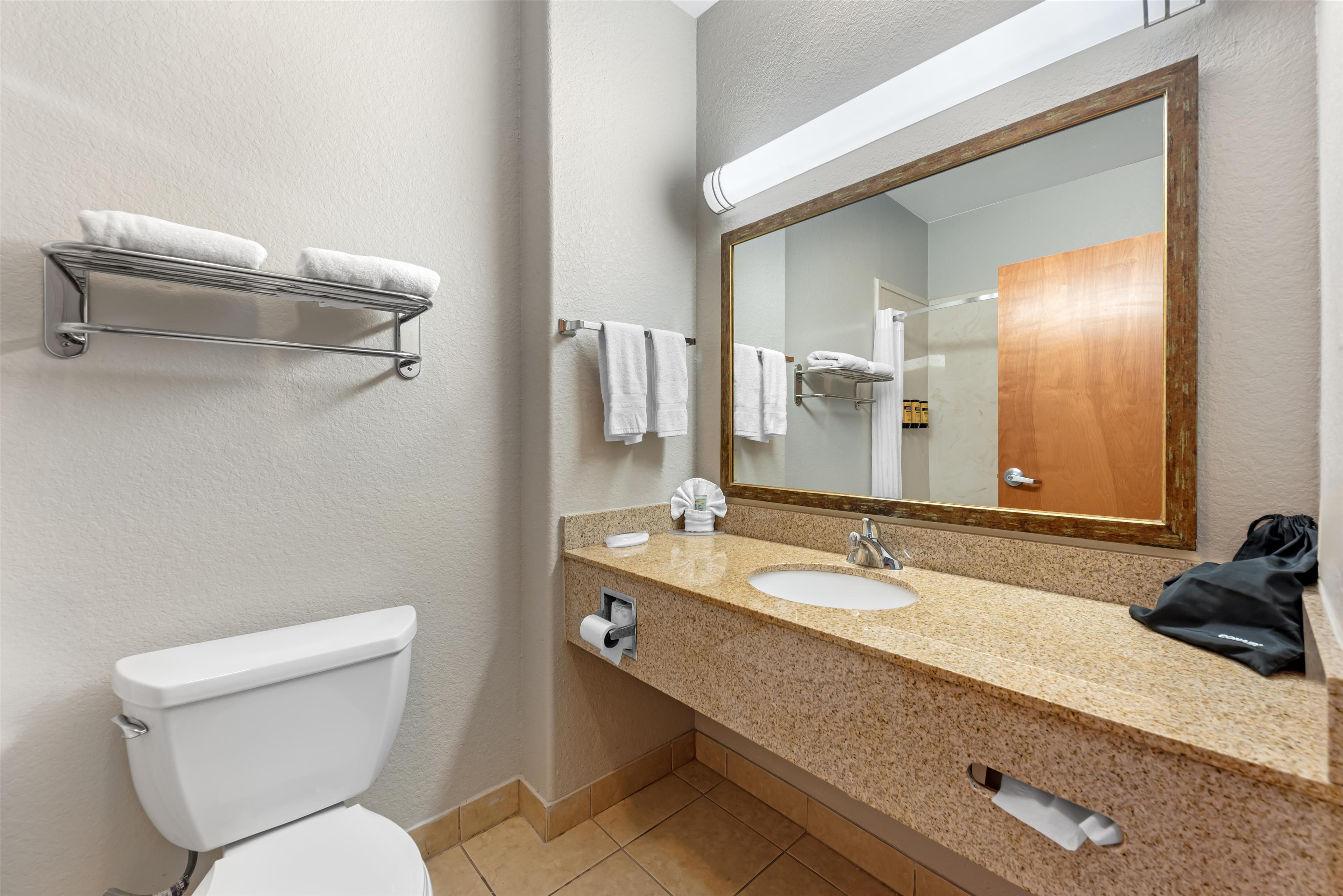 Suite King Bed Non Smoking