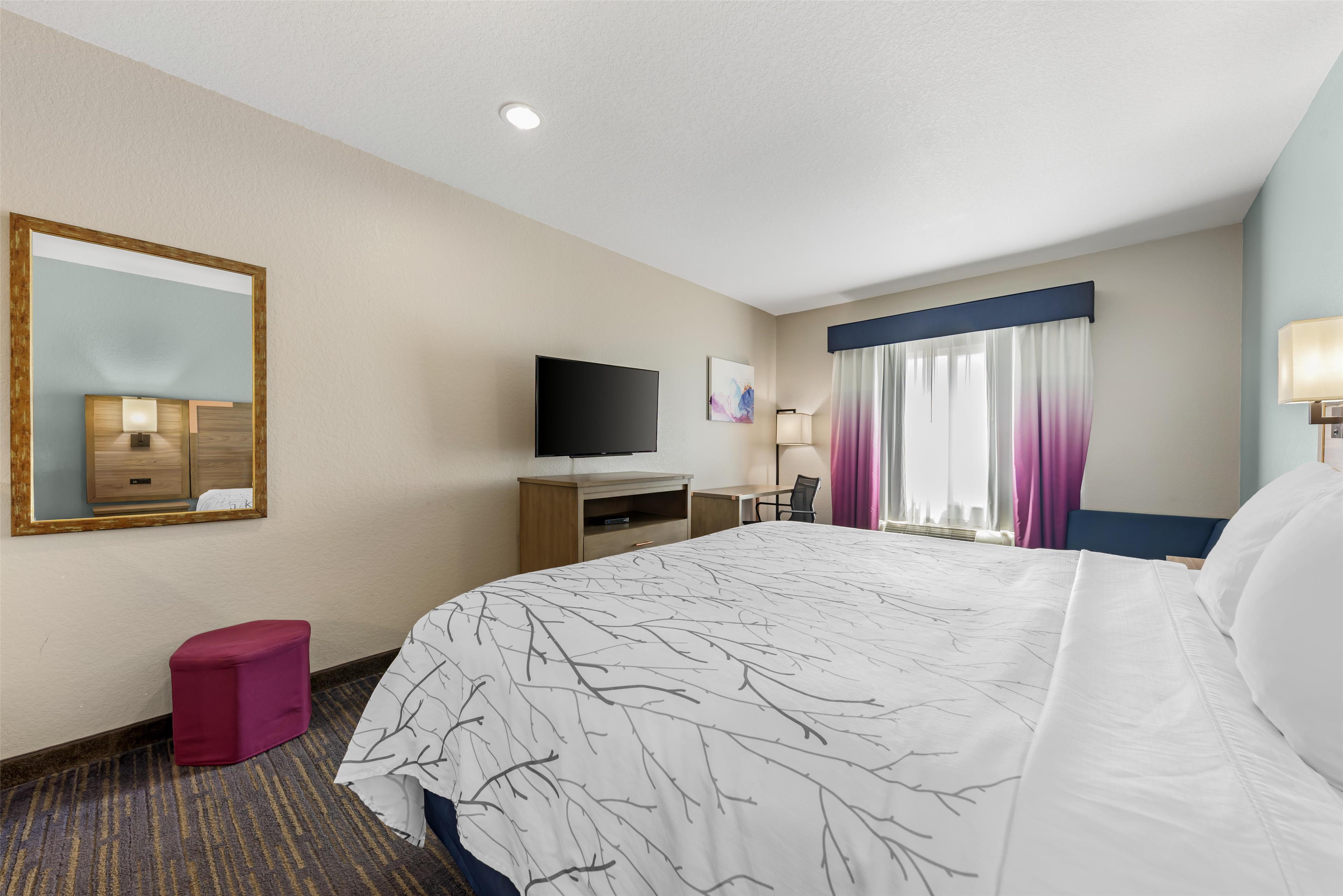 Room King Bed Non Smoking