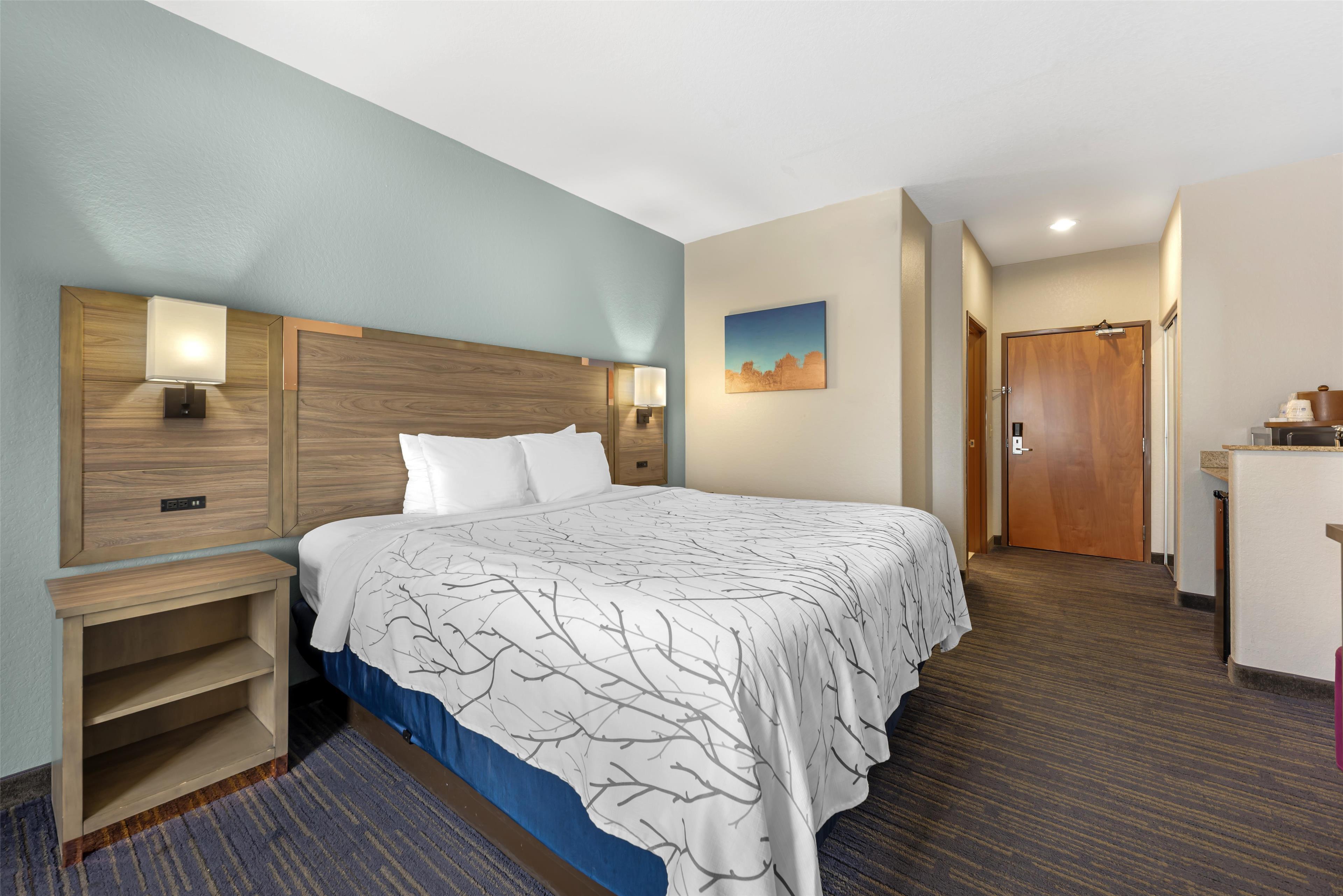 Room King Bed Non Smoking