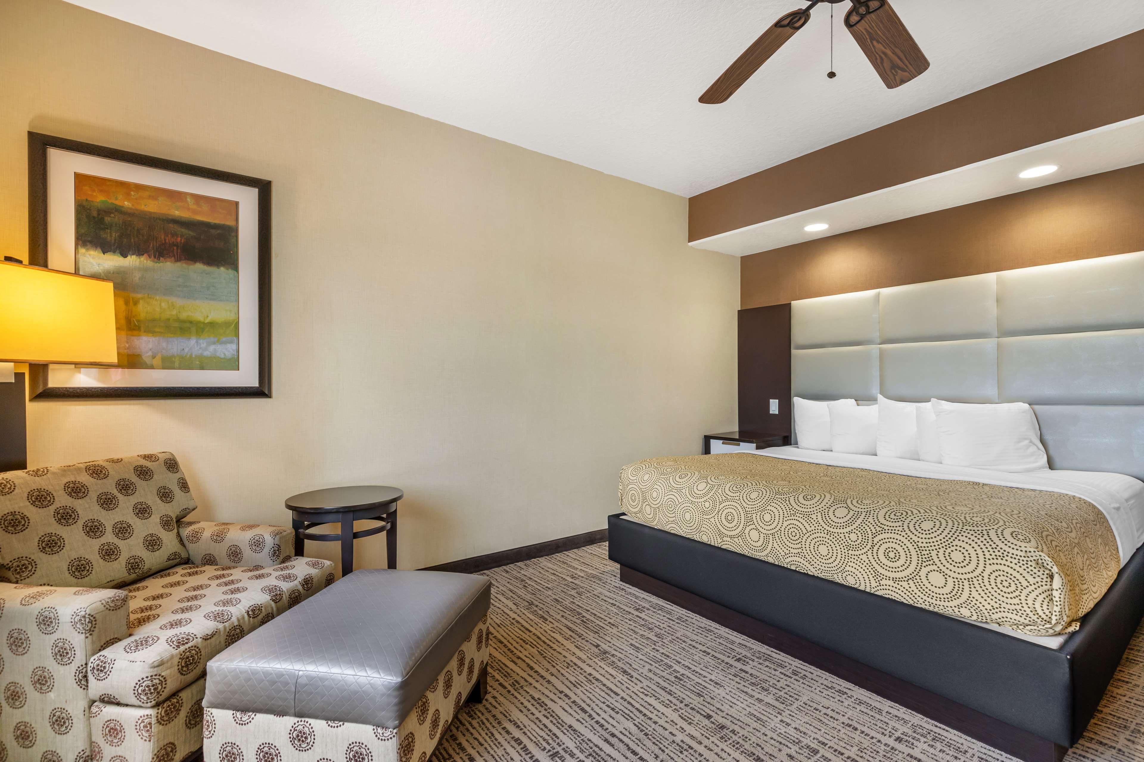 Room King Bed Non Smoking