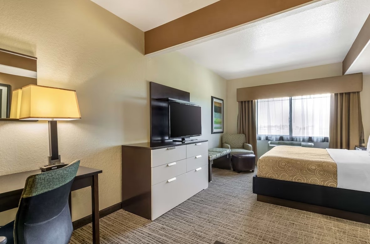 Room King Bed Non Smoking