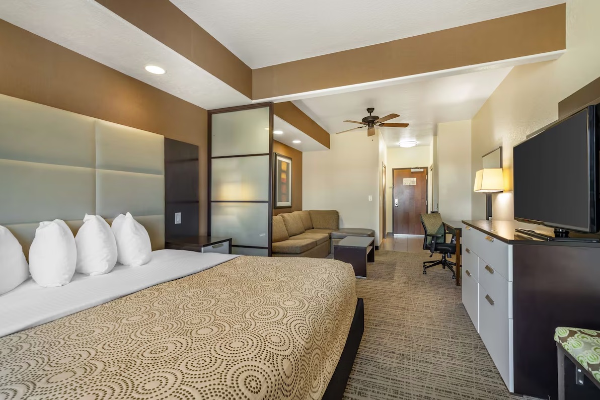 Suite King Bed Non Smoking