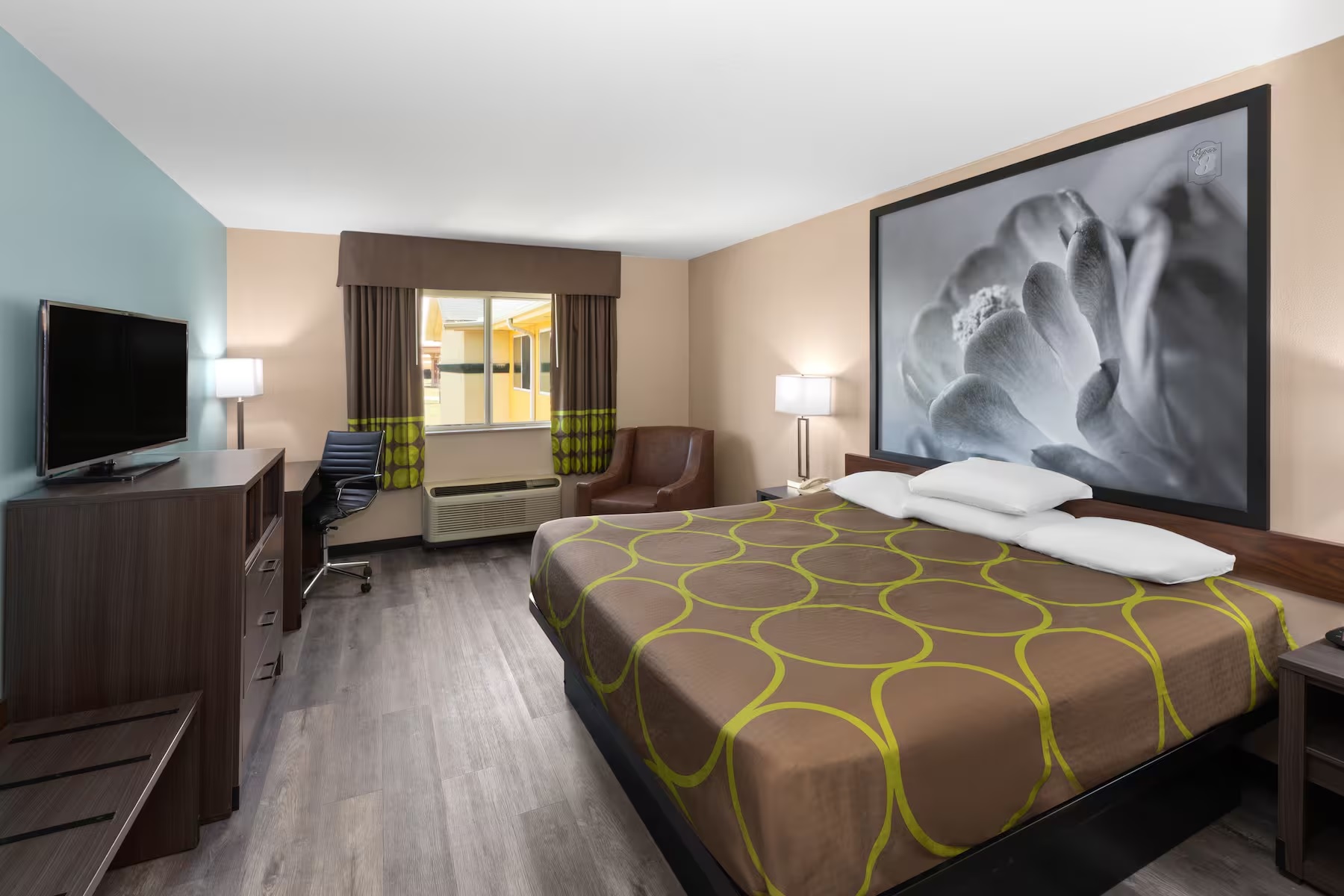 Suite King Bed Non Smoking