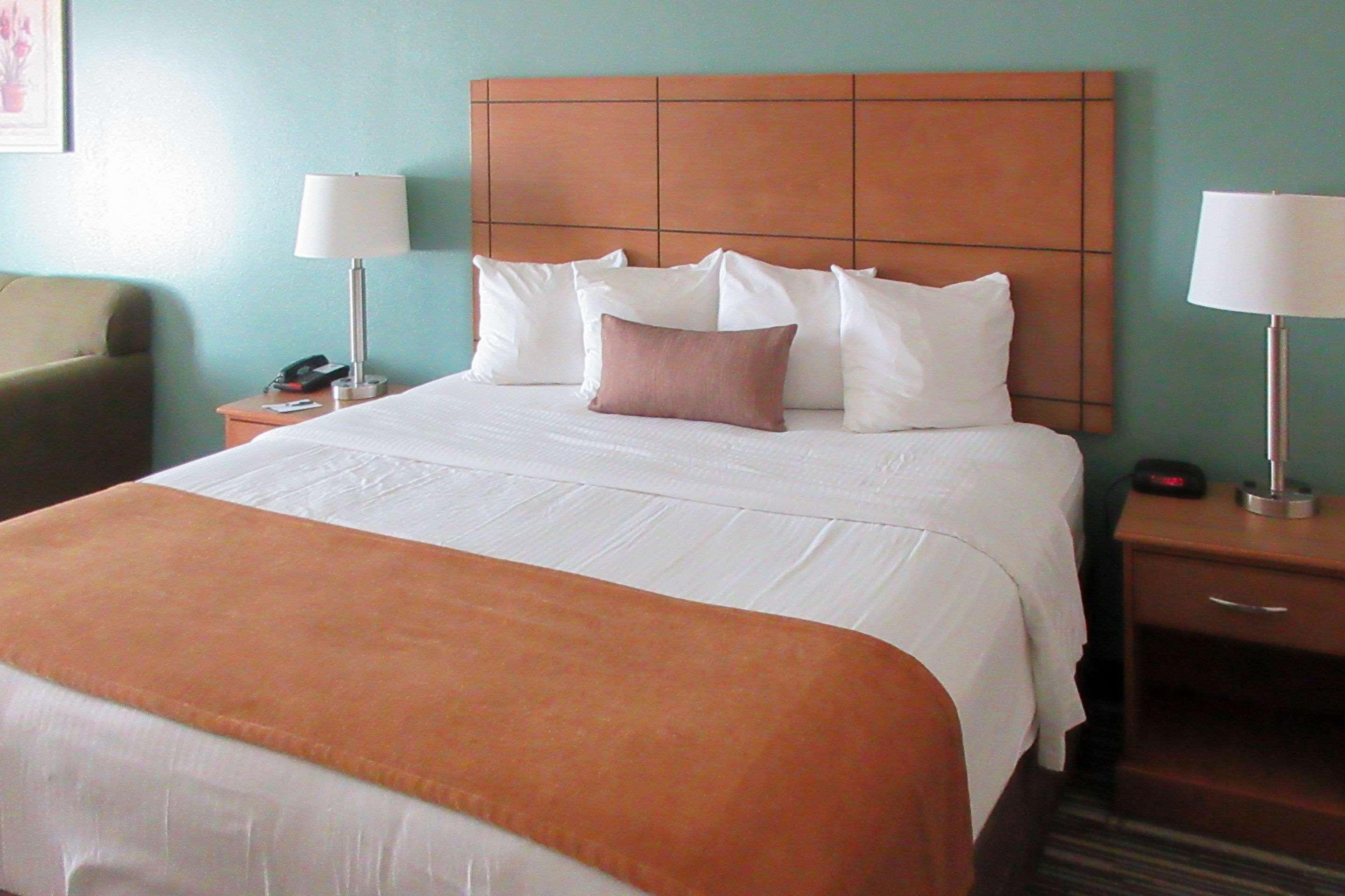 Double King Bed Non Smoking