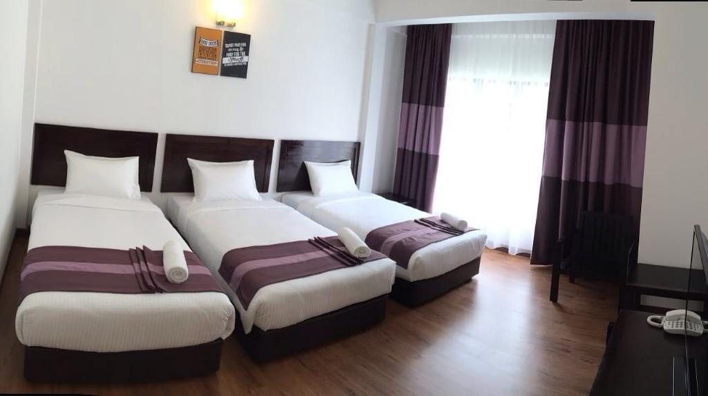 Triple Deluxe Pool View