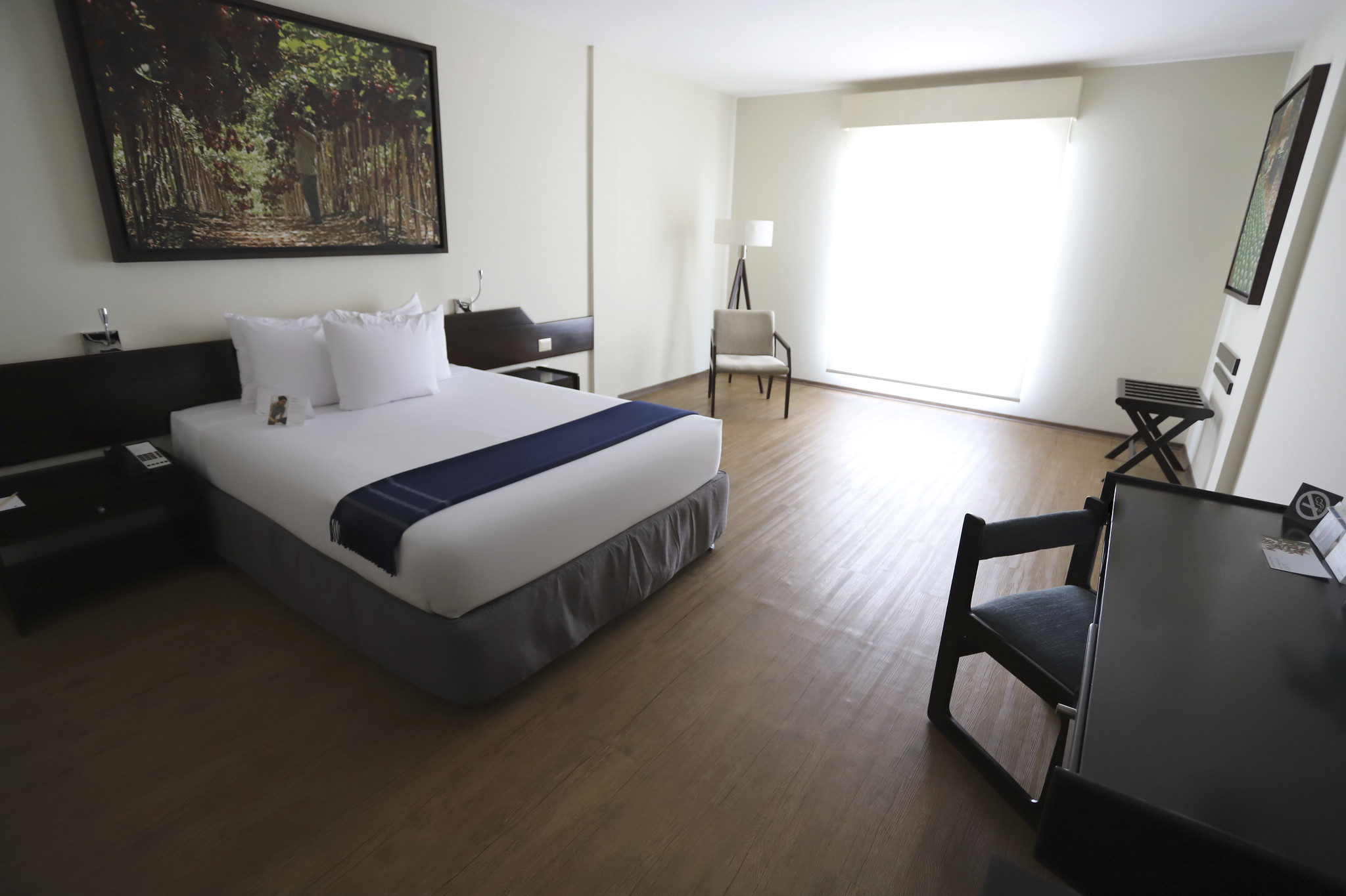 Double Superior Queen Bed